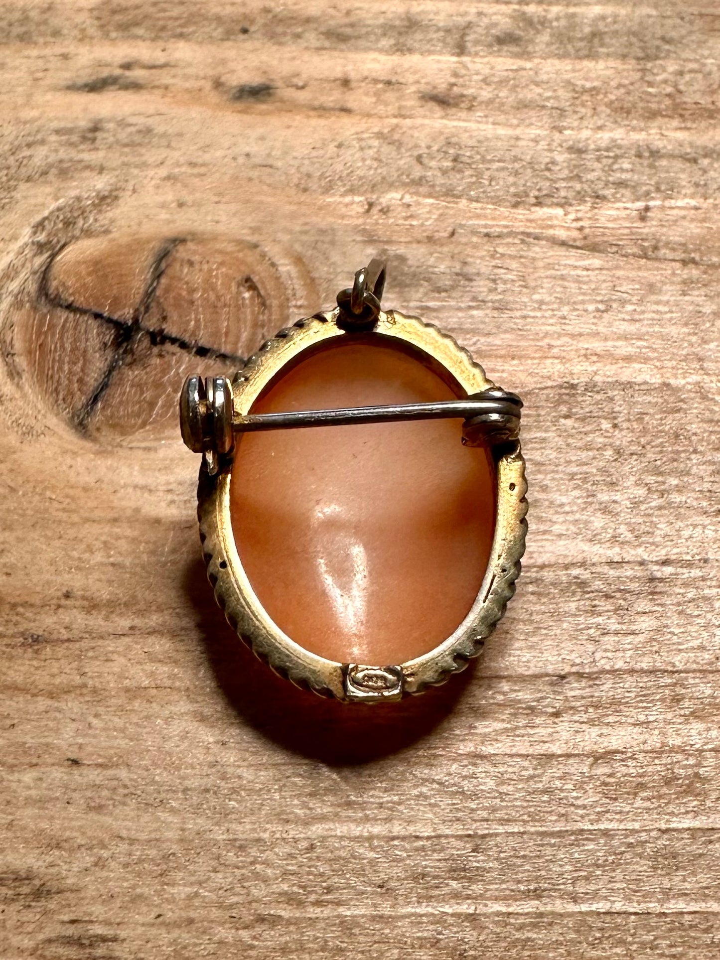Vintage Cameo Gold 800 Silver Brooch Pendant