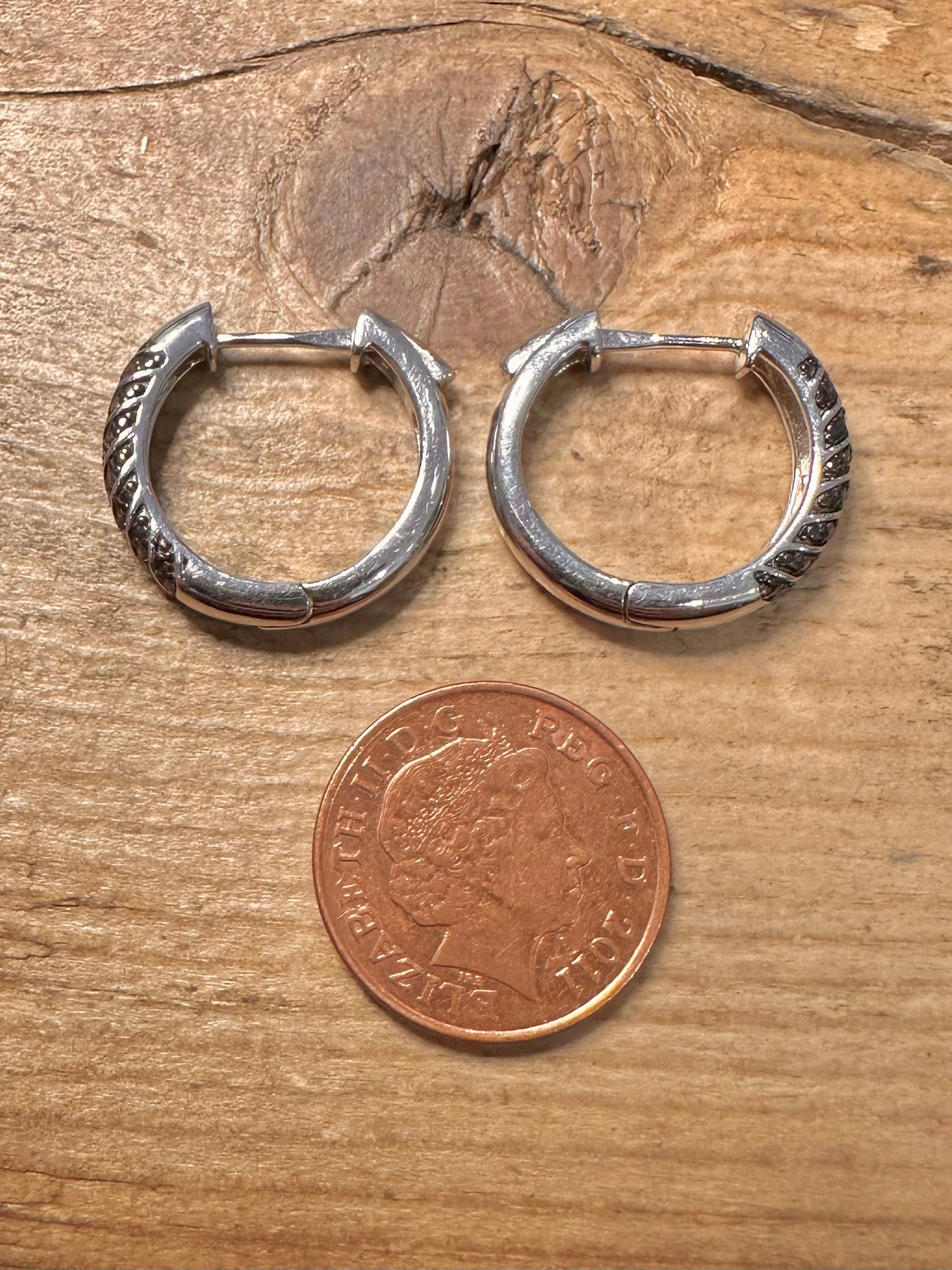 Modernist Red Stones Hoops 925 Silver Earrings