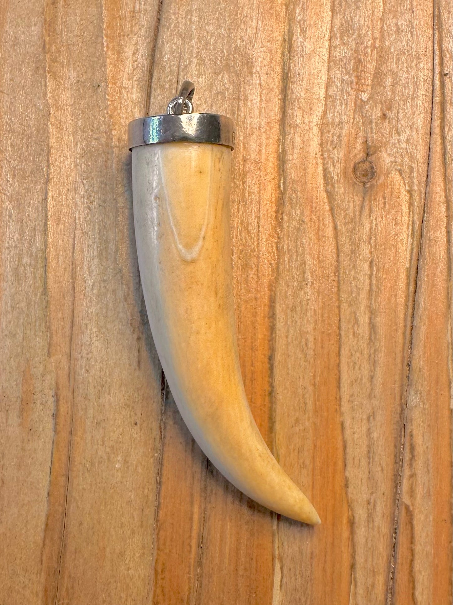 Vintage Long Tooth 925 Sterling Silver Pendant