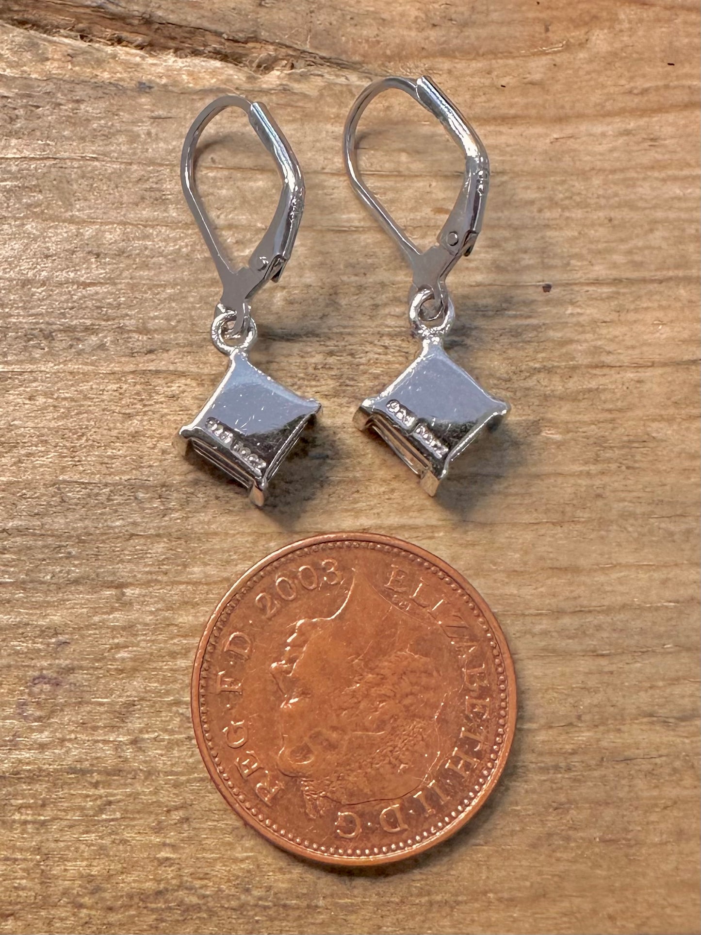 Modern DQCZ Stone 925 Silver Earrings