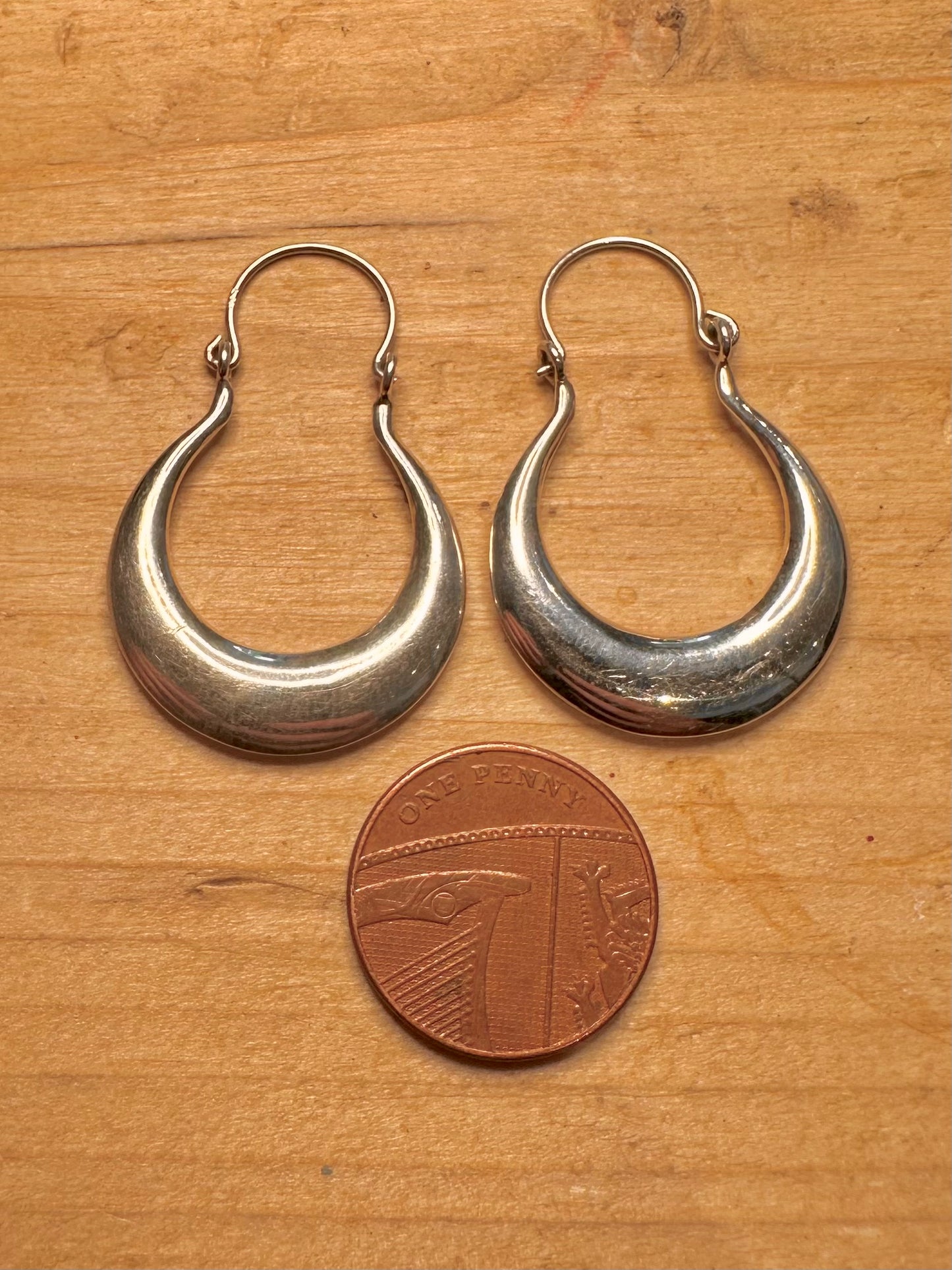 Modern Chunky Hoops 925 Silver Earrings