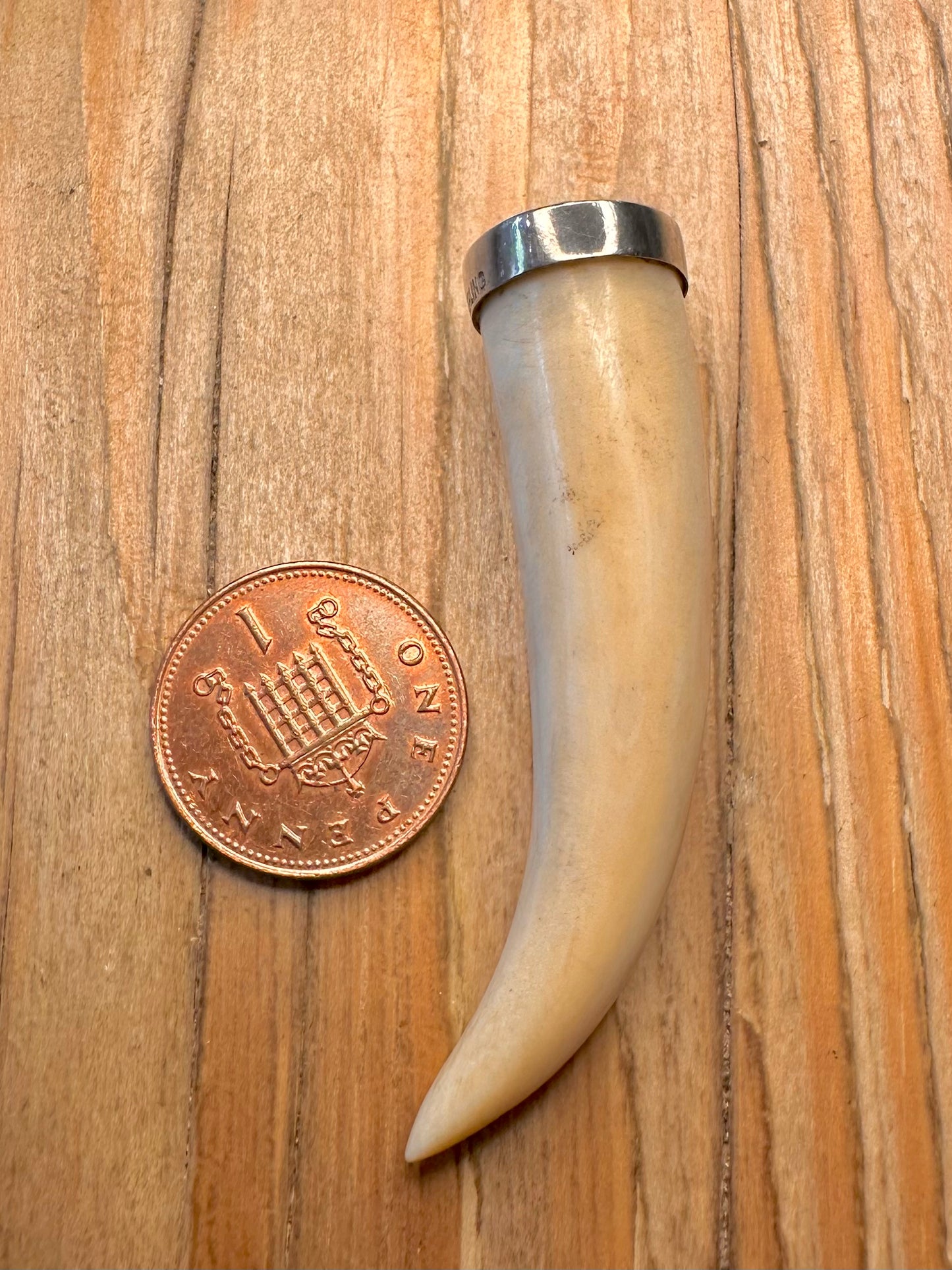 Vintage Long Tooth 925 Sterling Silver Pendant