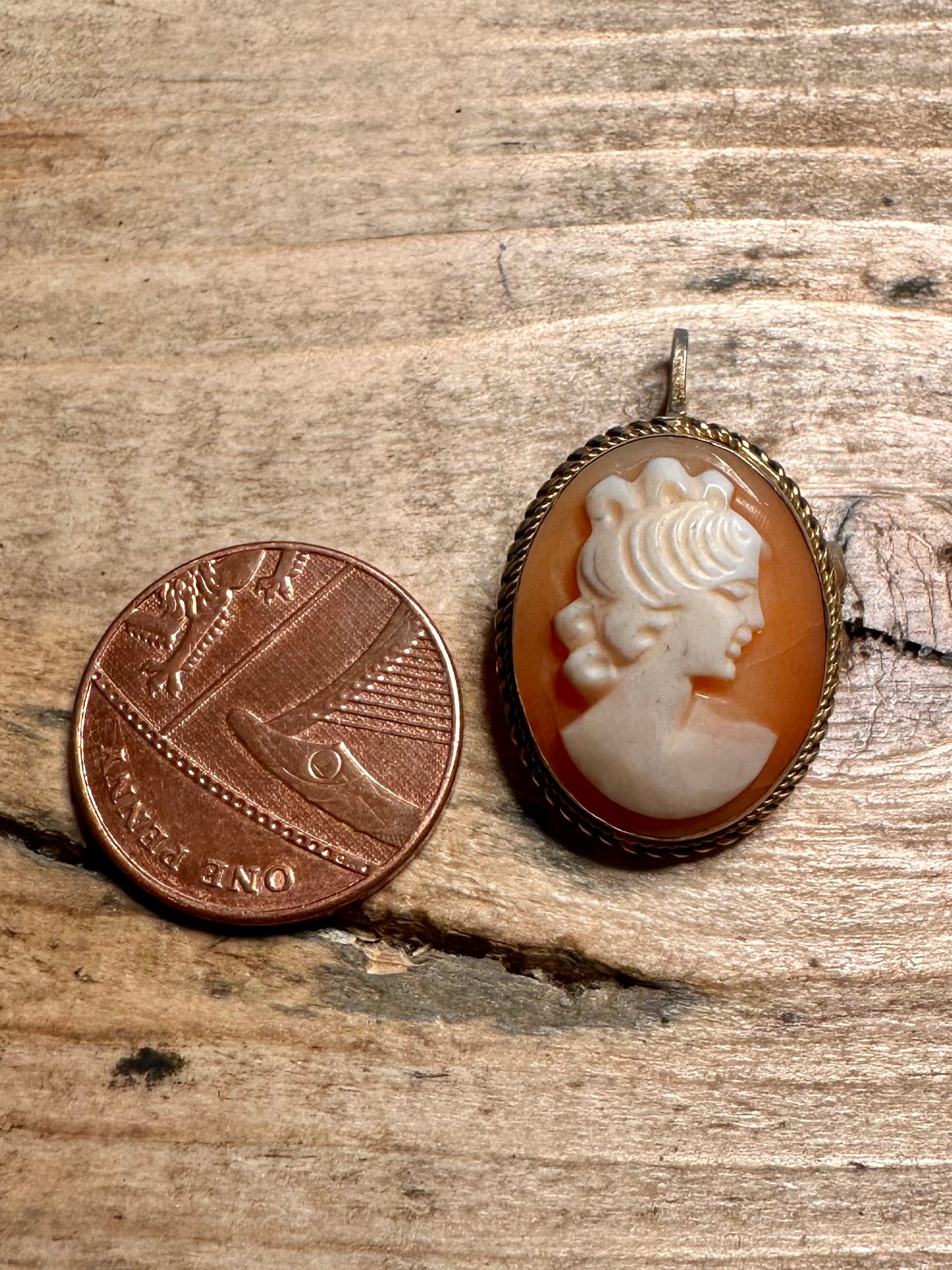 Vintage Cameo Gold 800 Silver Brooch Pendant
