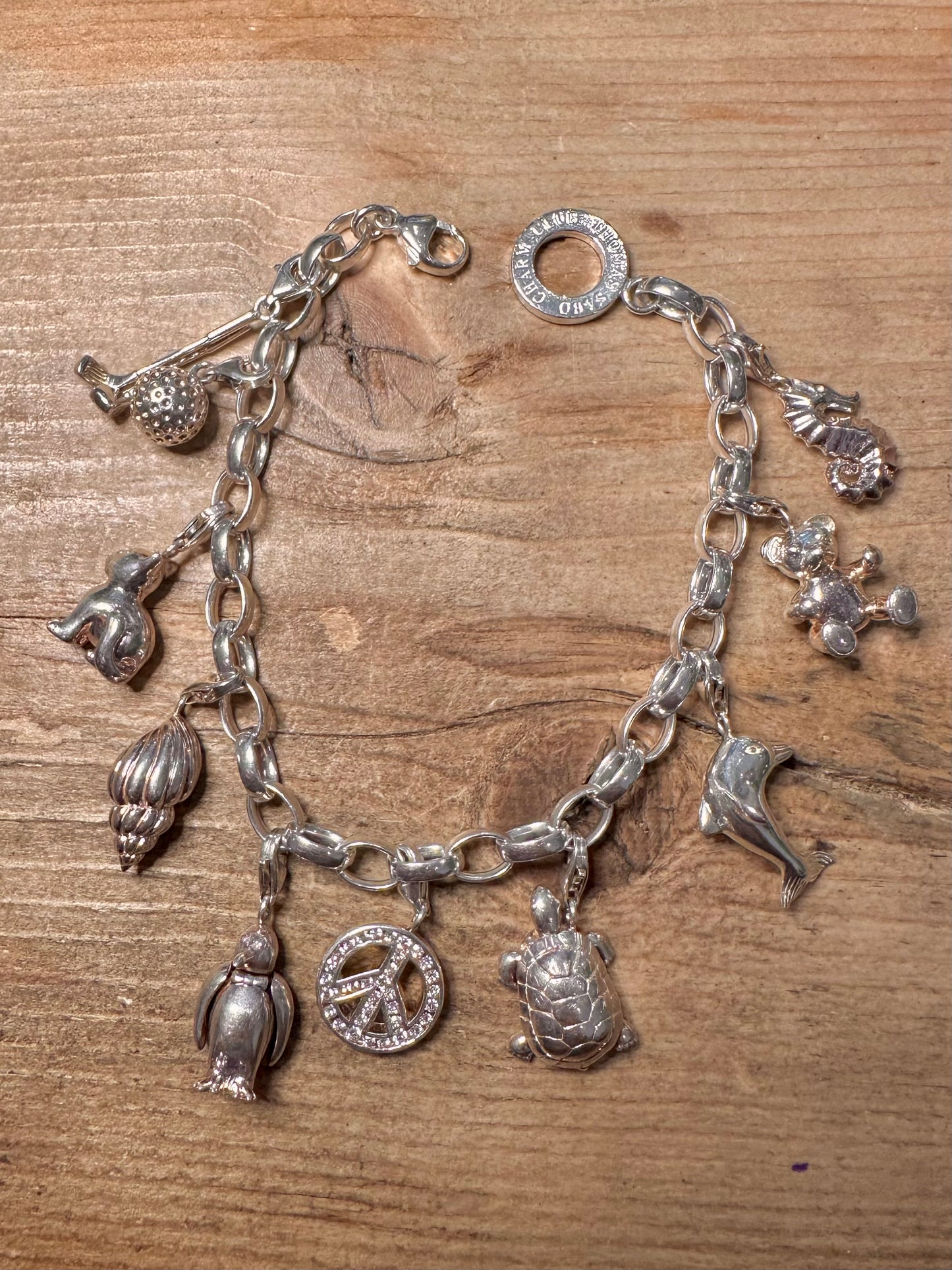 Thomas Sabo Charm Club 925 Silver Bracelet