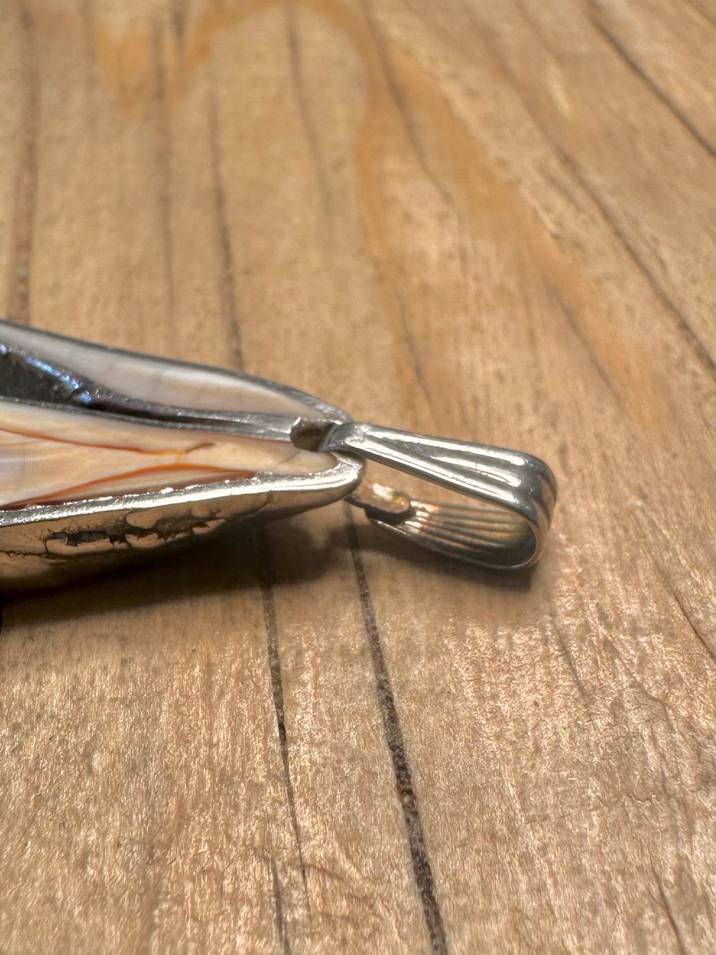 Abstract Carved Seashell 925 Sterling Silver Pendant