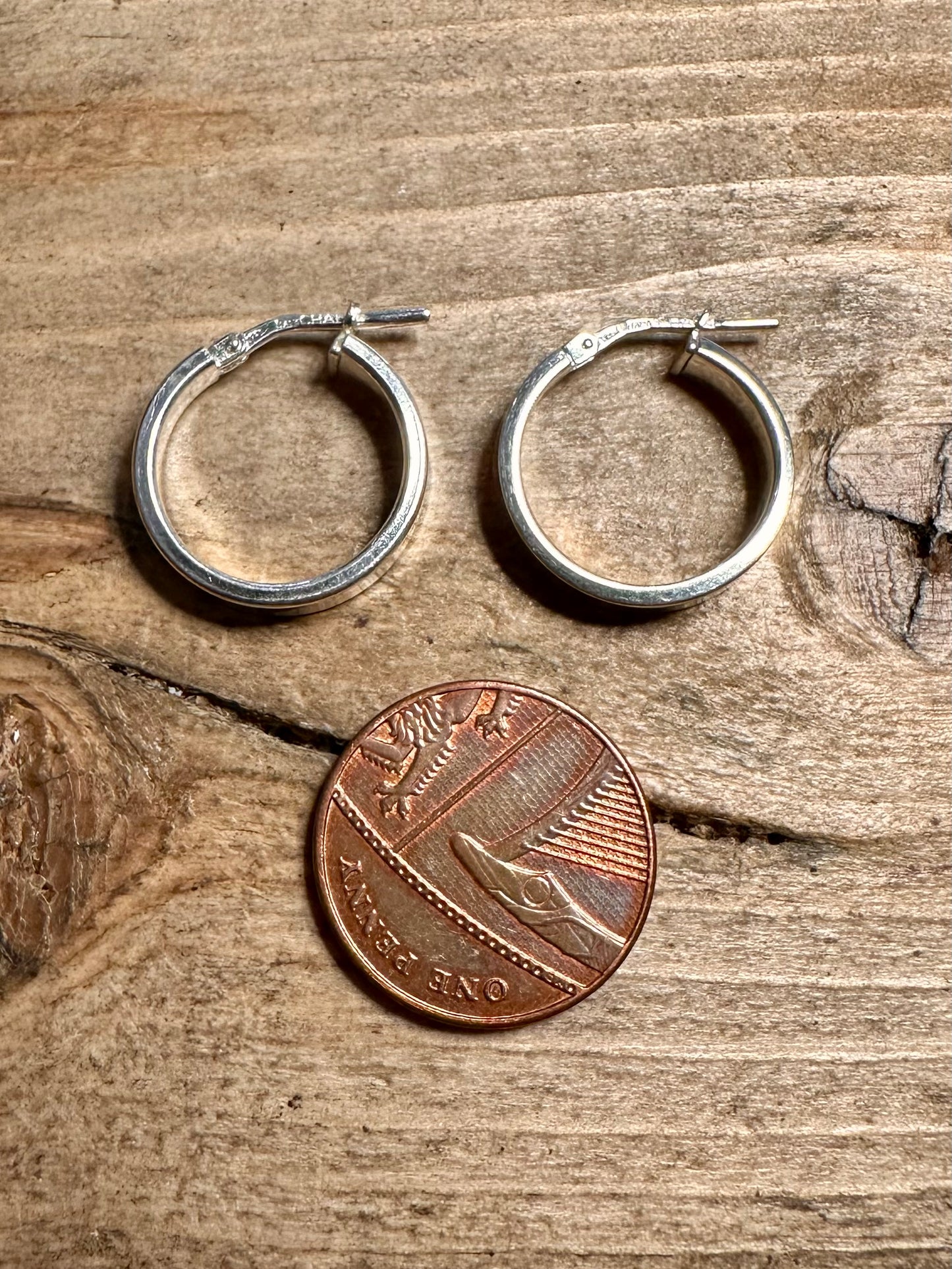 Modern Chunky Hoops 925 Silver Earrings