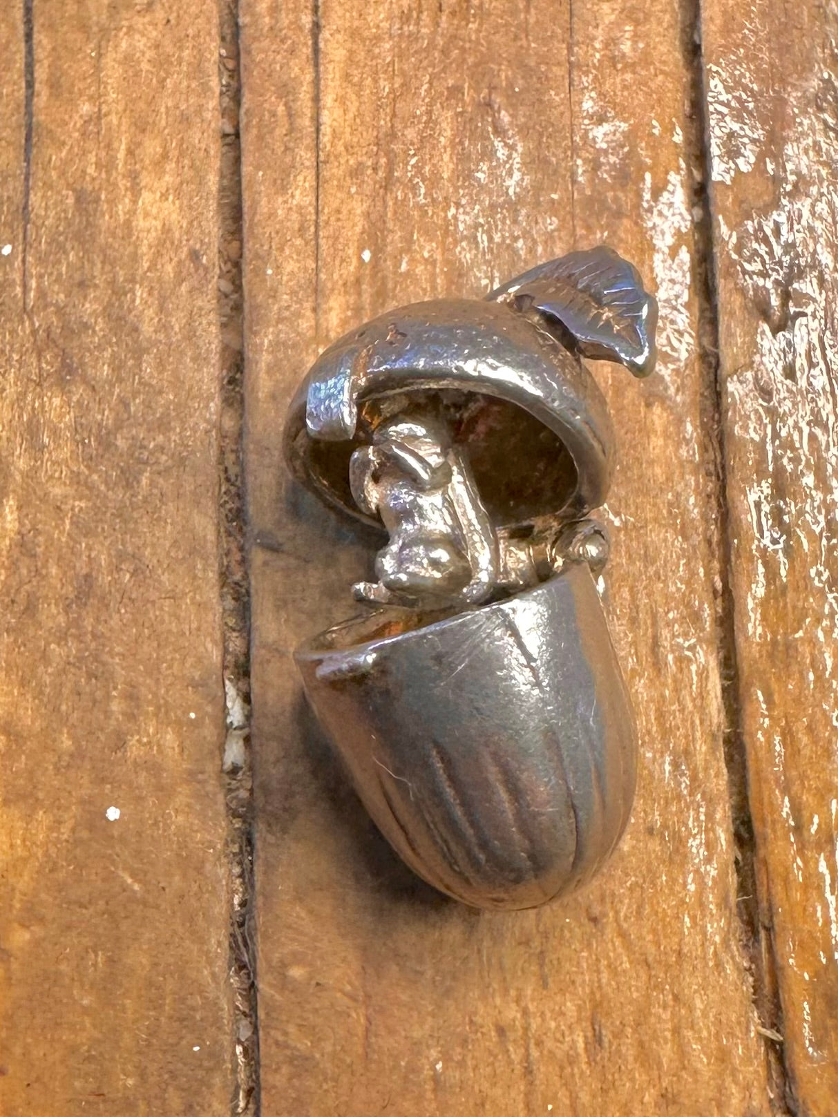 Acorn Squirrel Opening 925 Sterling Silver Charm Pendant