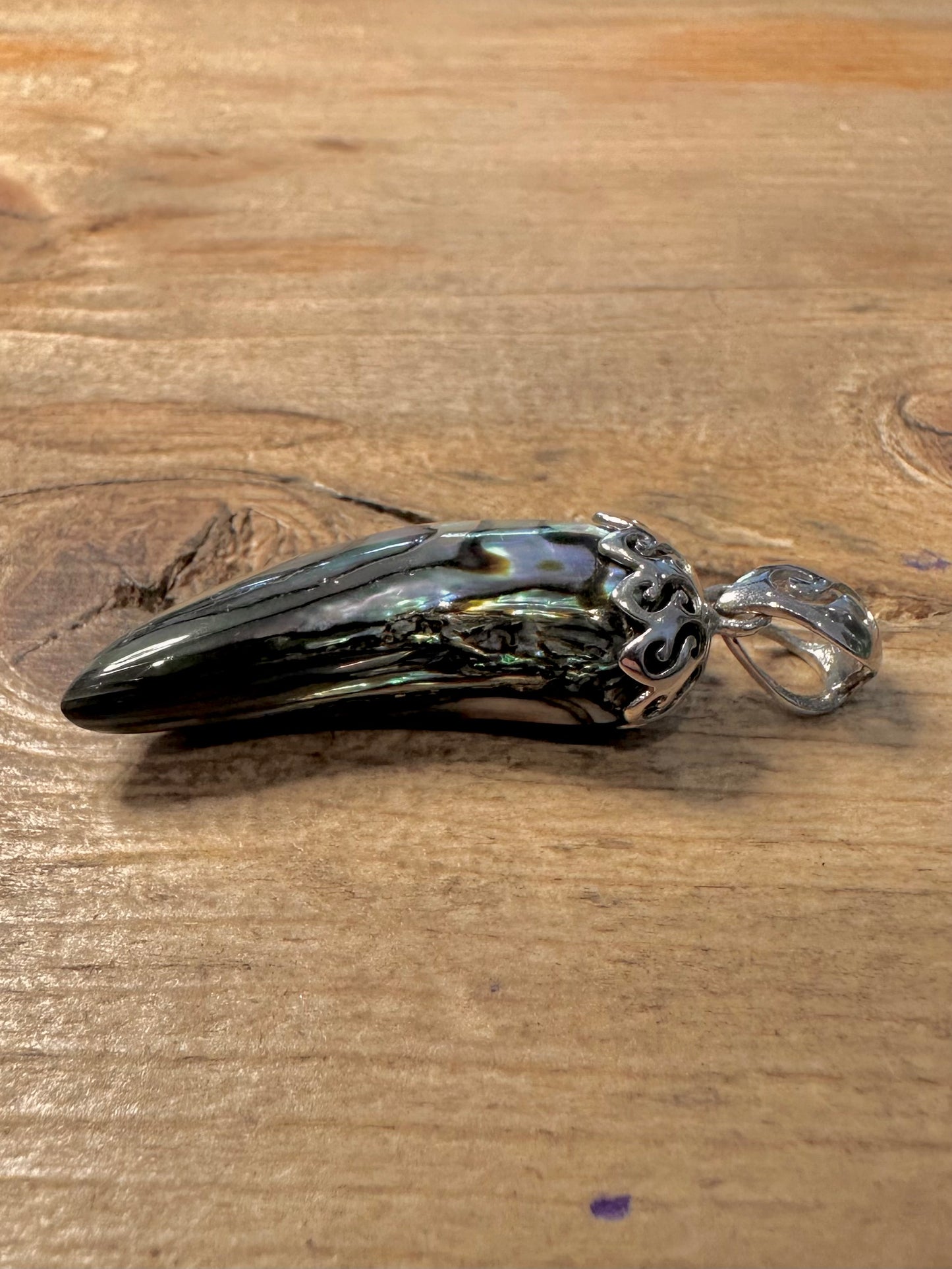 Modern Abalone Claw 925 Silver Pendant