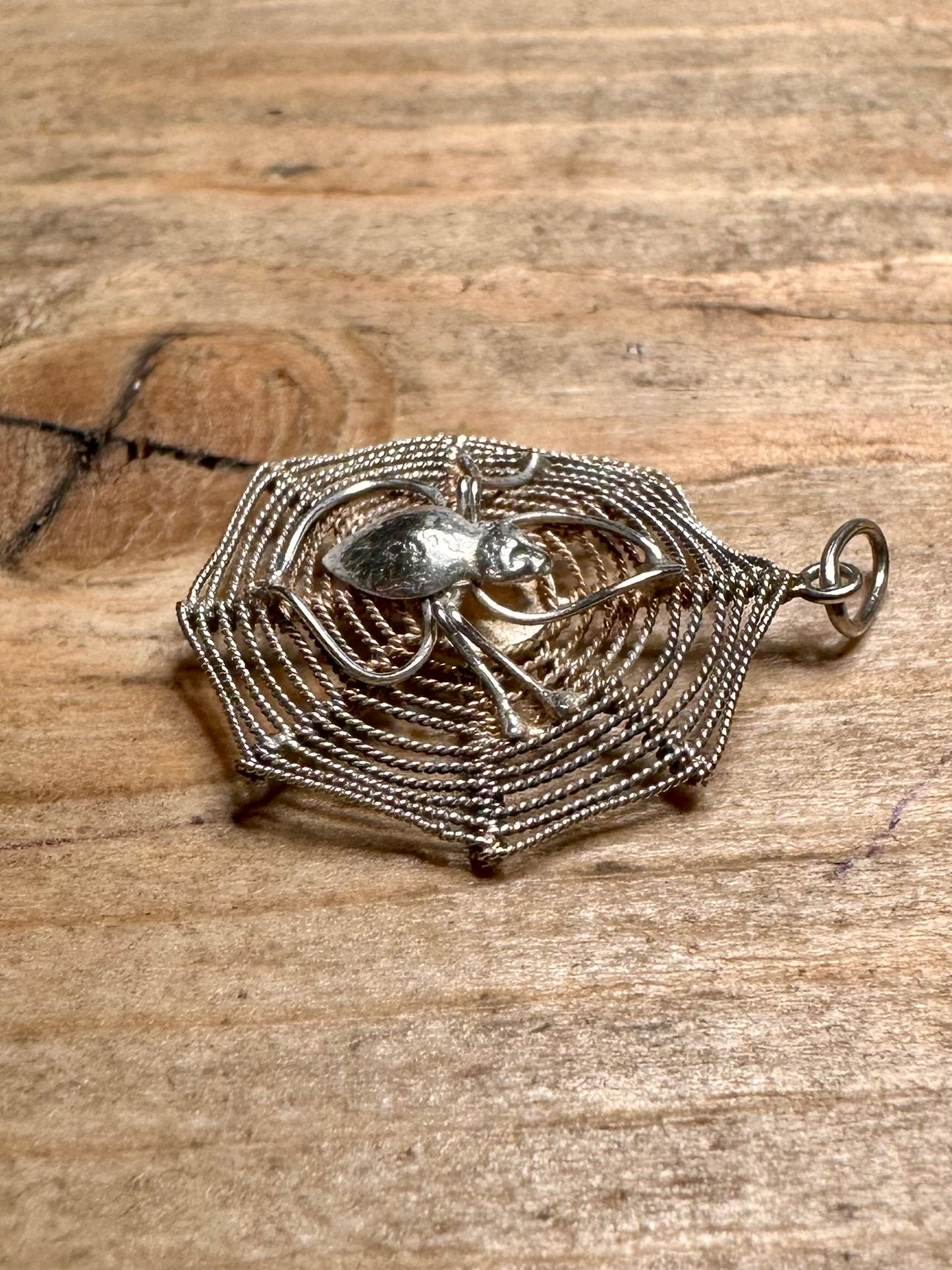 Vintage Spider and Web 925 Silver Pendant
