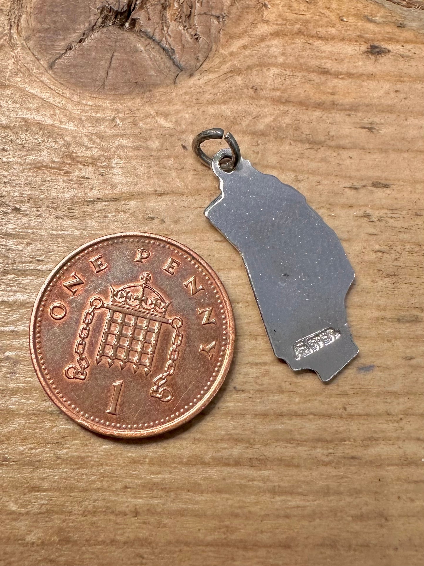 Vintage California Enamel 925 Silver Charm Pendant