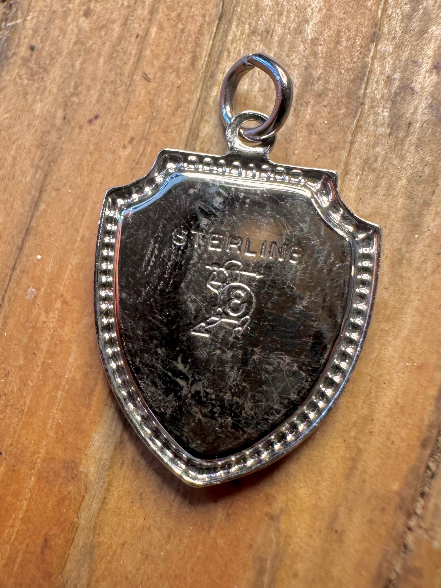 Nevada Crest Enamel 925 Sterling Silver Charm Pendant