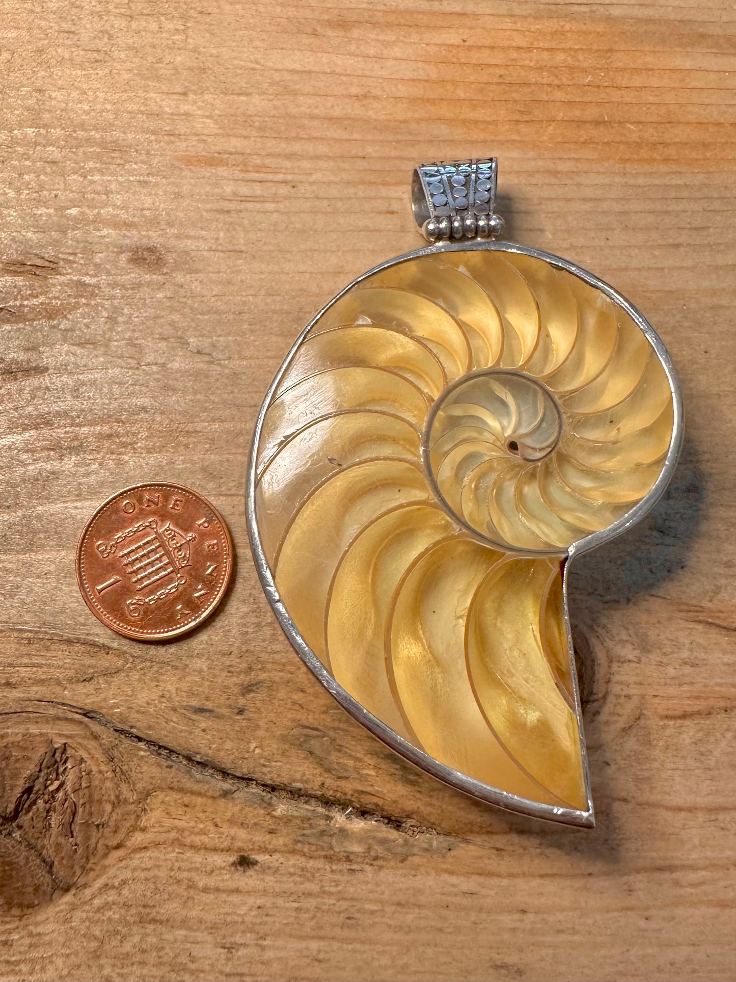 Abstract Large Nautilus Shell 925 Silver Pendant
