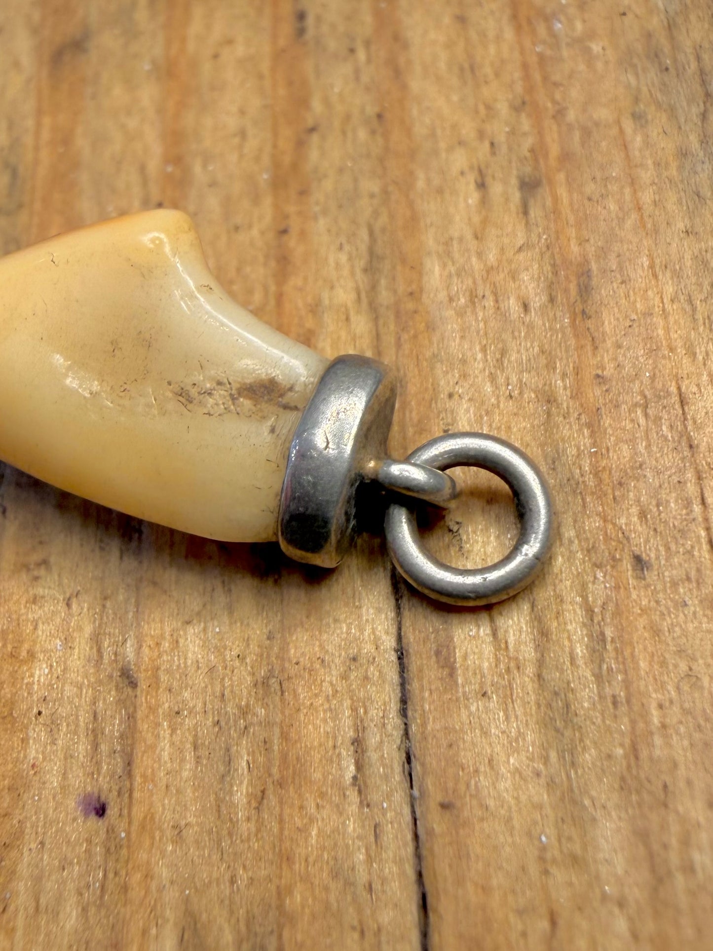 Tooth Mount 925 Sterling Silver Pendant