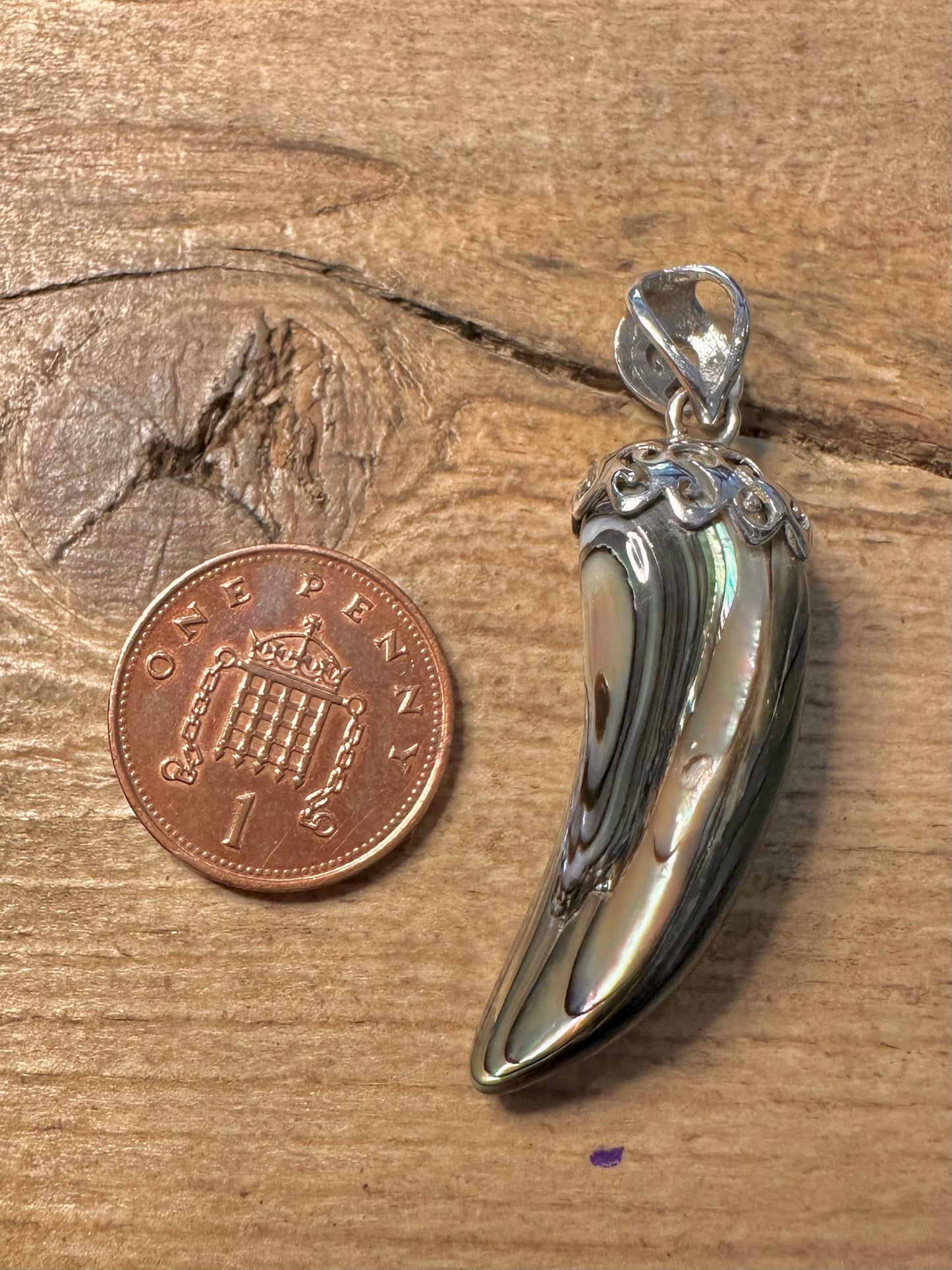 Modern Abalone Claw 925 Silver Pendant