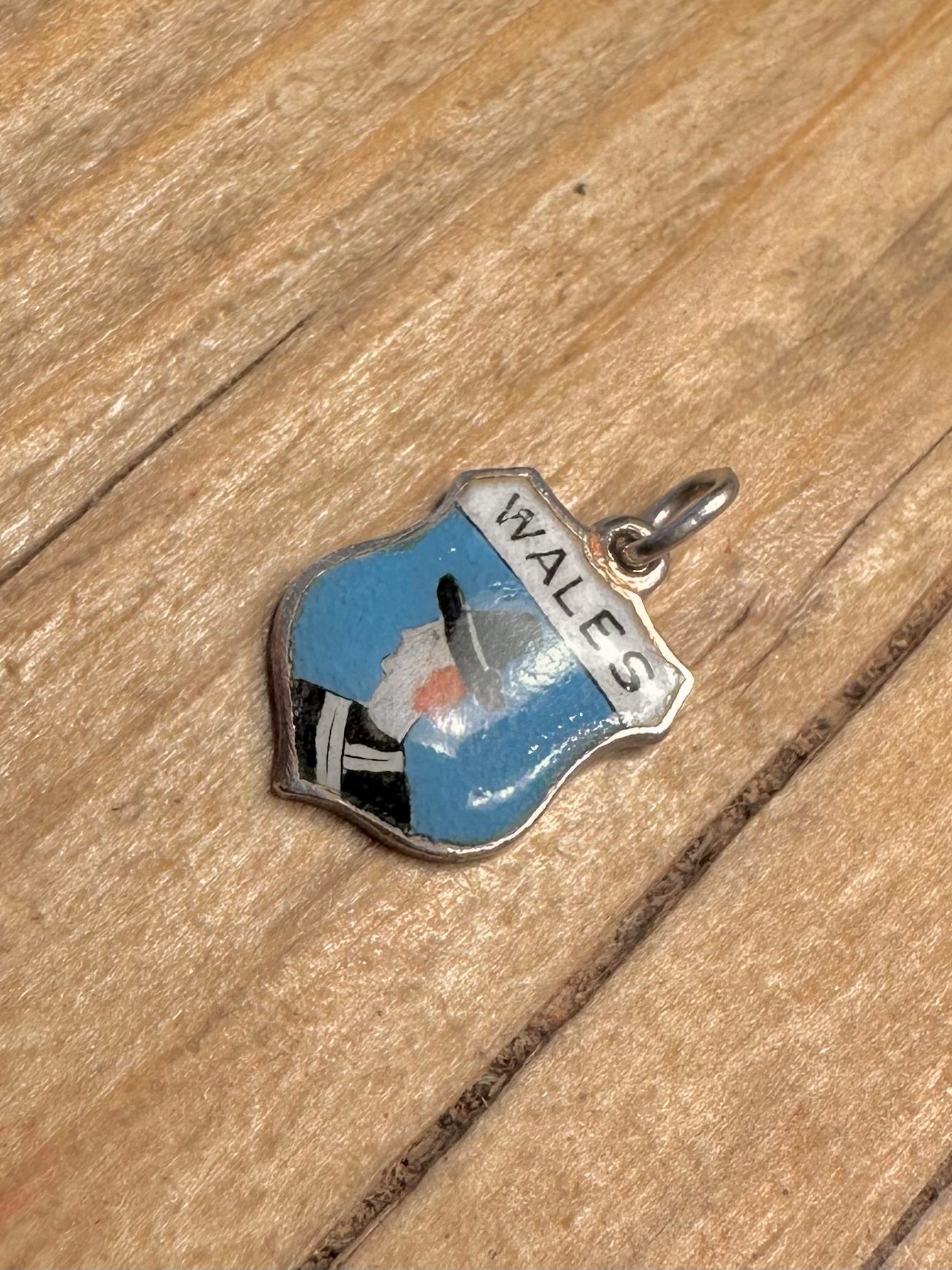 Vintage Wales Enamel Crest 925 Sterling Silver Pendant