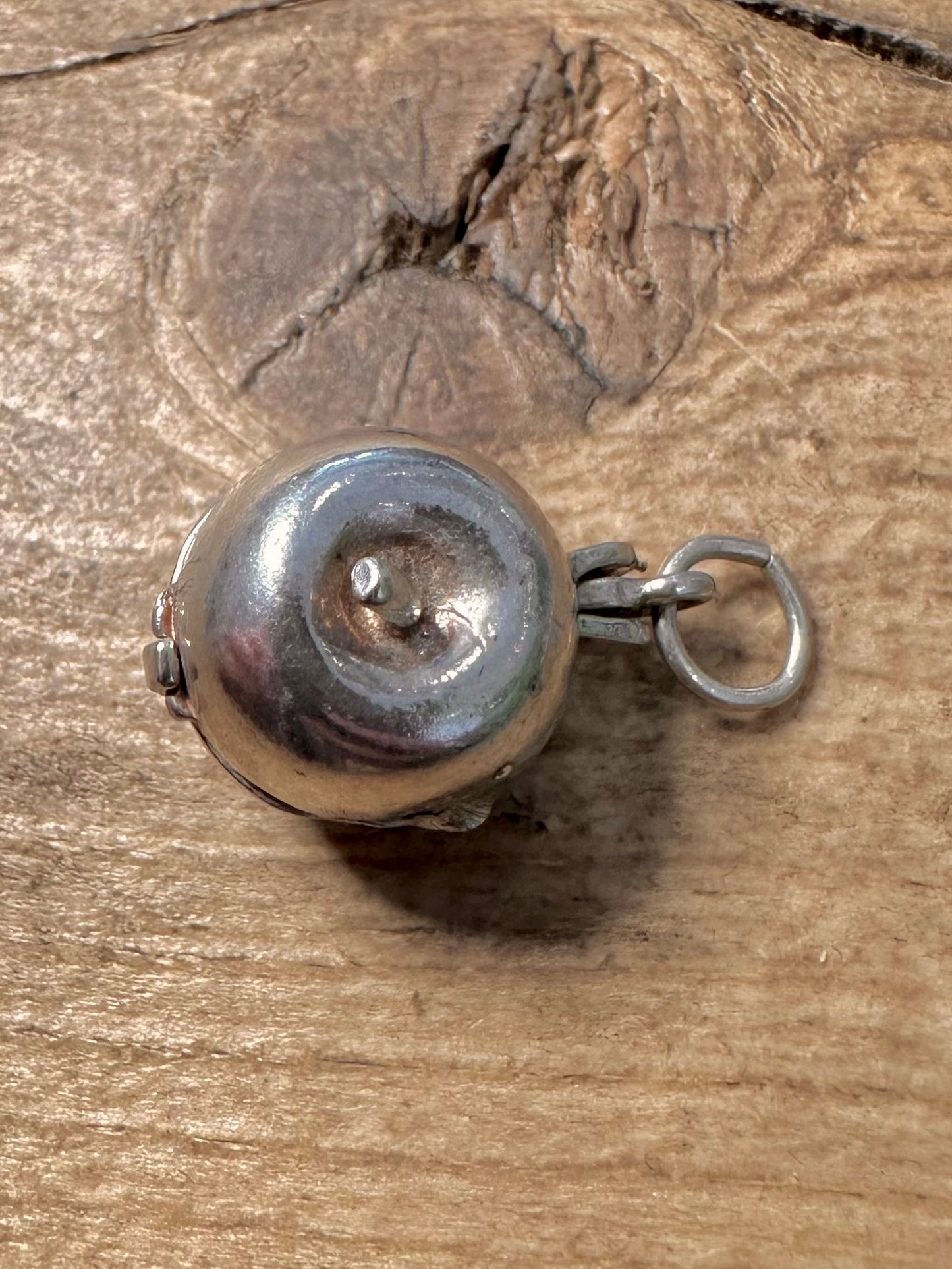 Vintage Apple Articulated Worms inside 925 Silver Charm Pendant