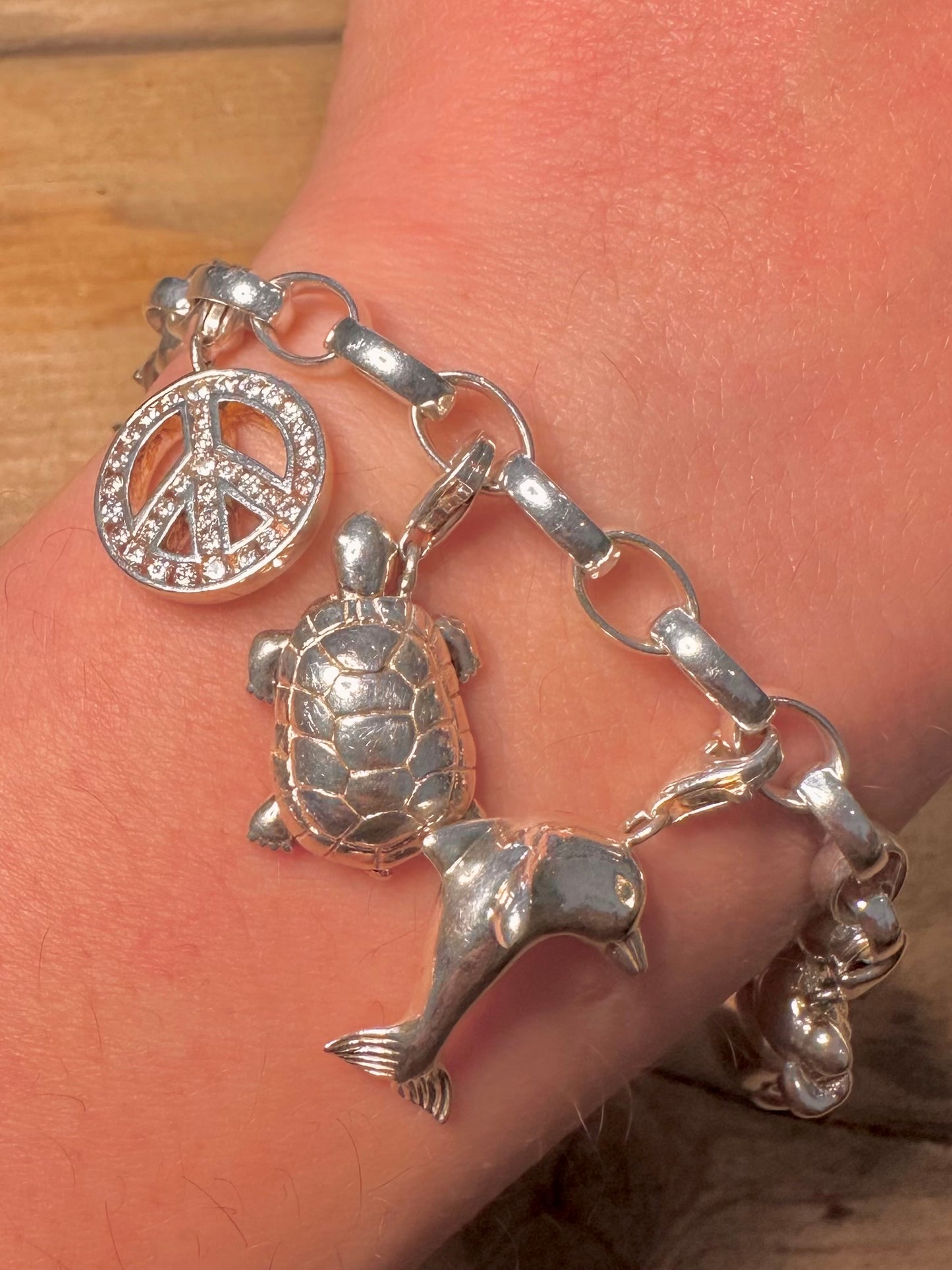 Thomas Sabo Charm Club 925 Silver Bracelet