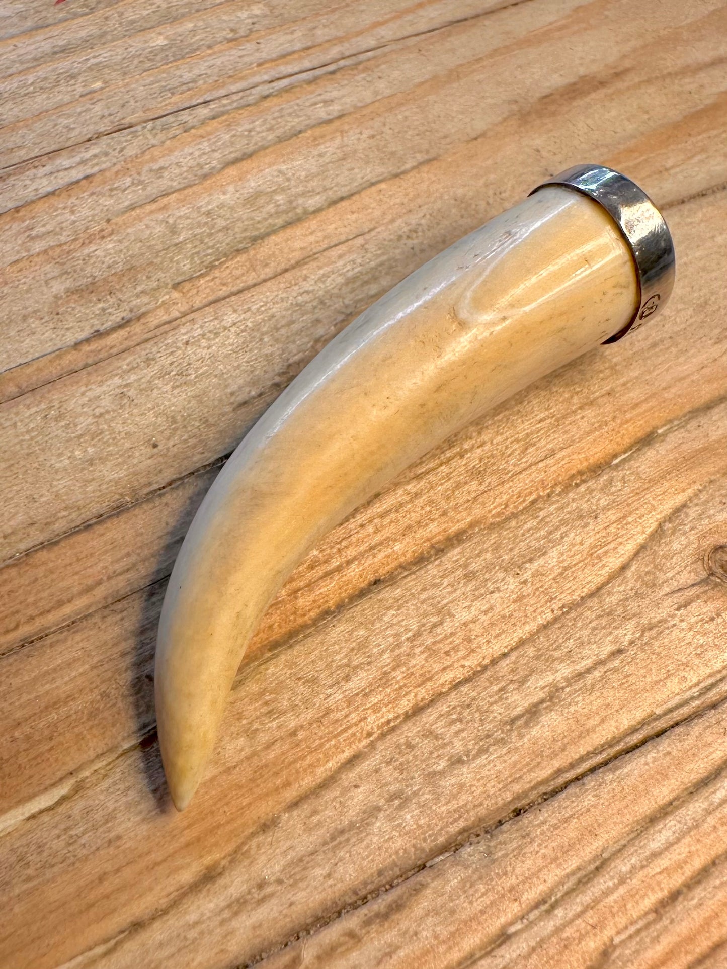 Vintage Long Tooth 925 Sterling Silver Pendant