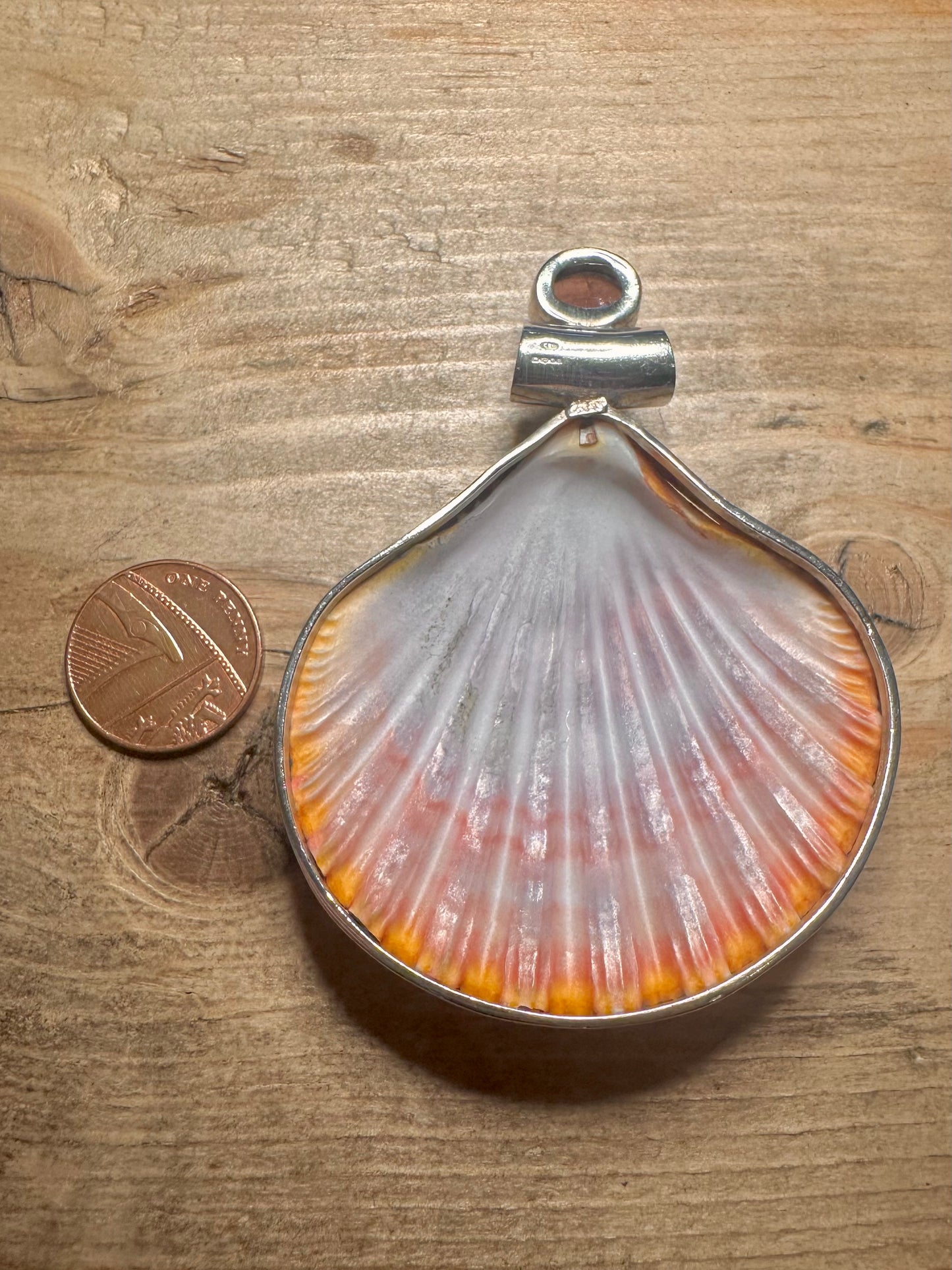Abstract 2005 Red Shell and Red Gemstone 925 Silver Pendant