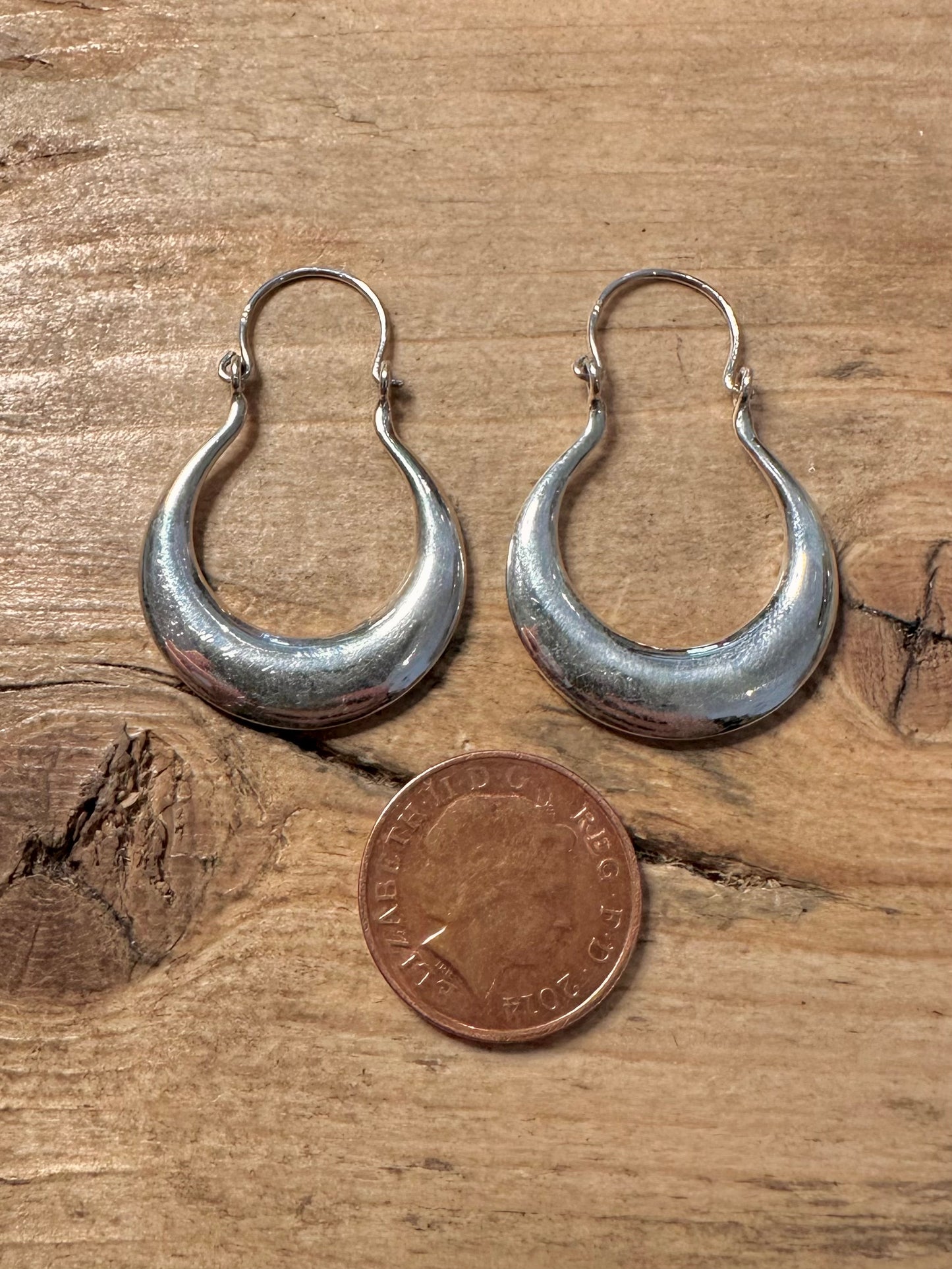 Modern Chunky Hoops 925 Silver Earrings