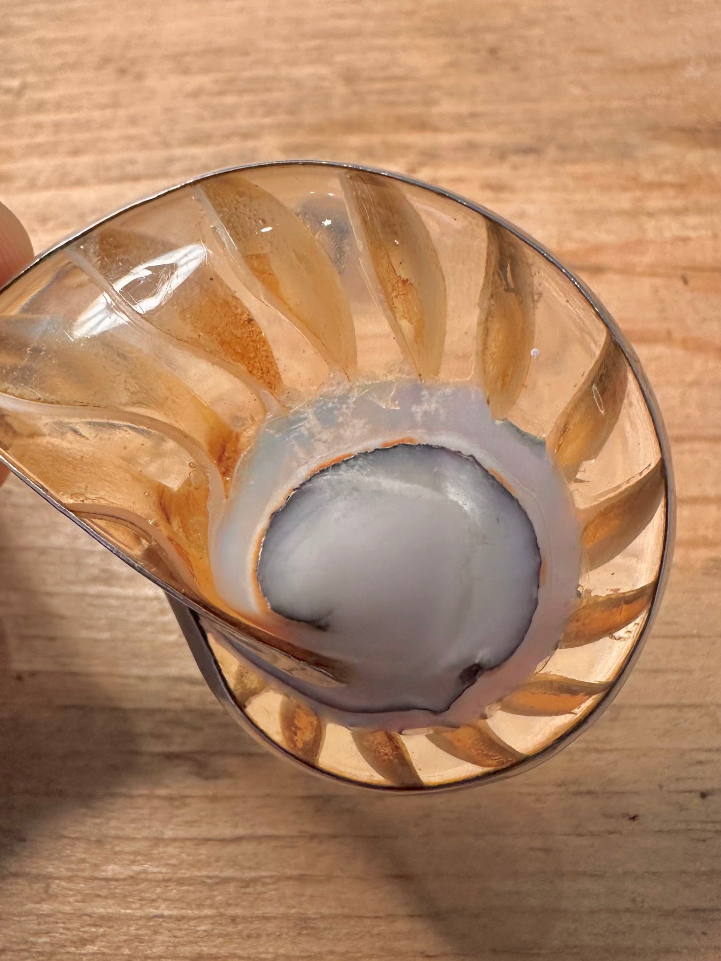 Abstract Transparent Nautilus Shell 925 Silver Pendant