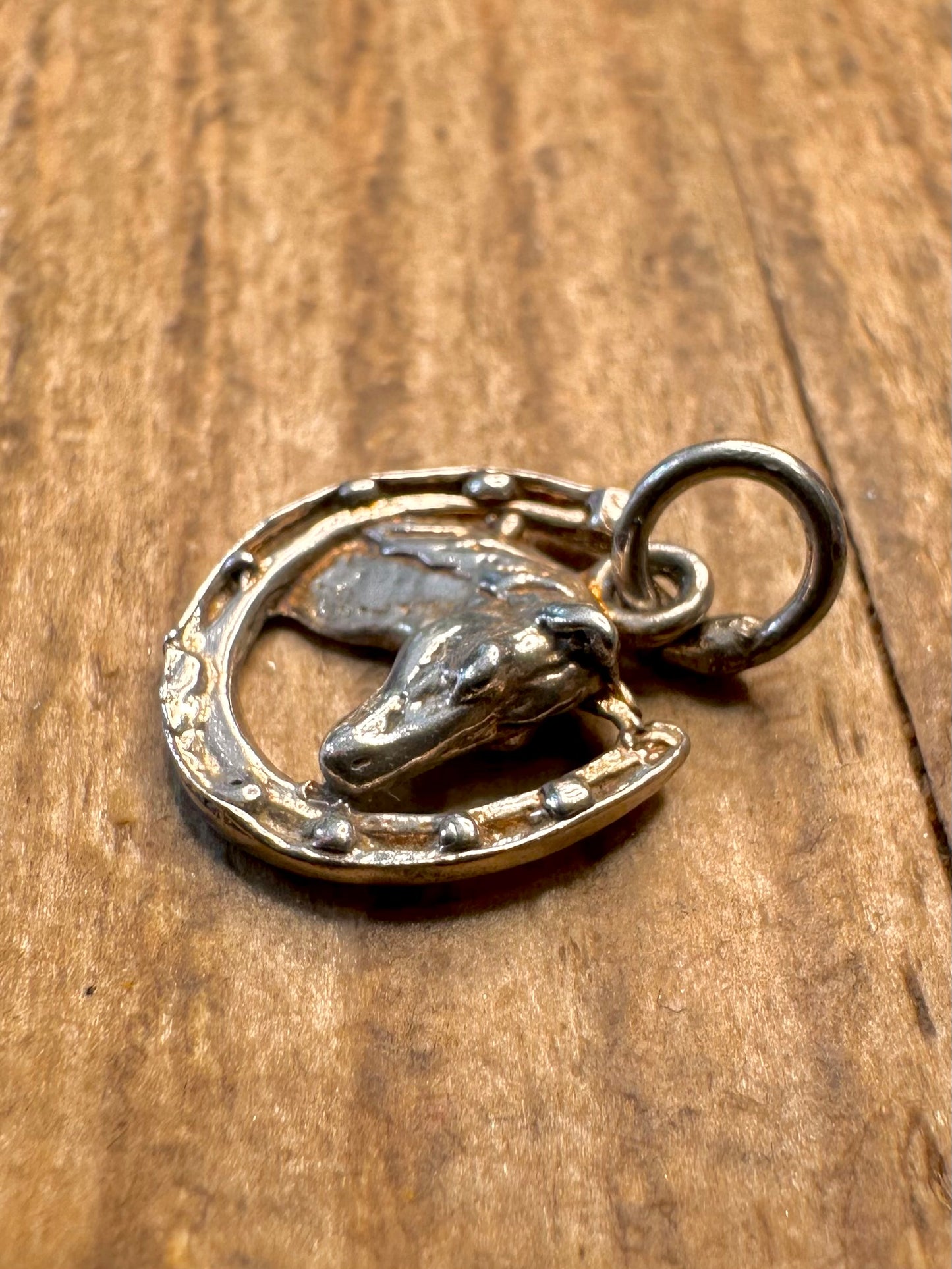 Pferdekopf und Hufeisen Anhänger aus 925er Sterlingsilber