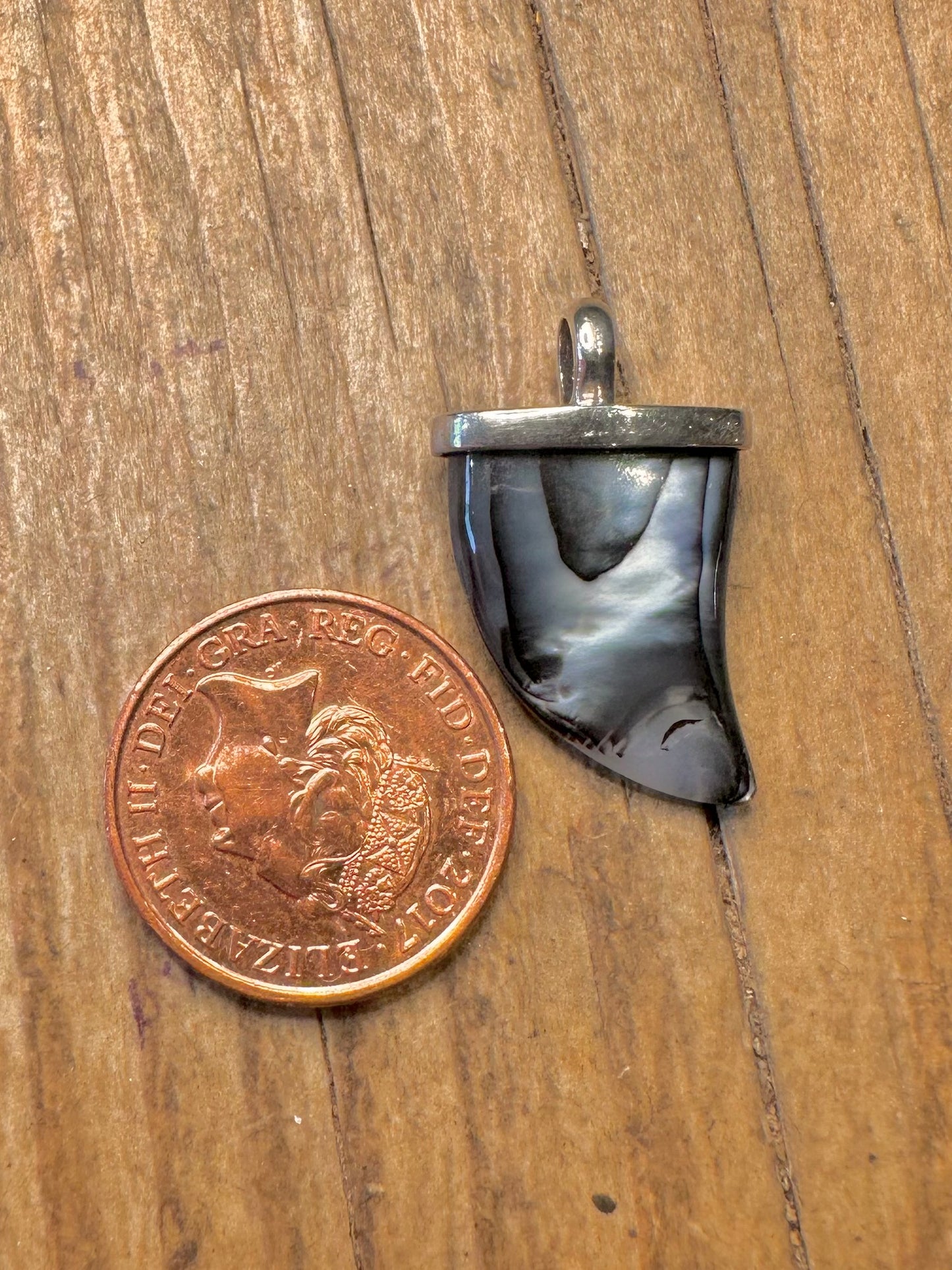 Modern Abalone Claw Shape 925 Sterling Silver Pendant