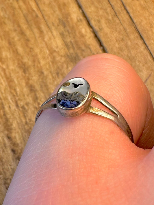 Abalone Shell Scenic Mexico Silver Size P Ring