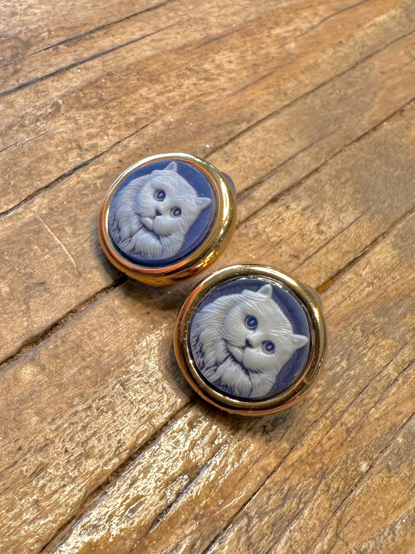 Blauer Kreis Cameo Katze Gold auf 925 Sterling Silber Ohrringe