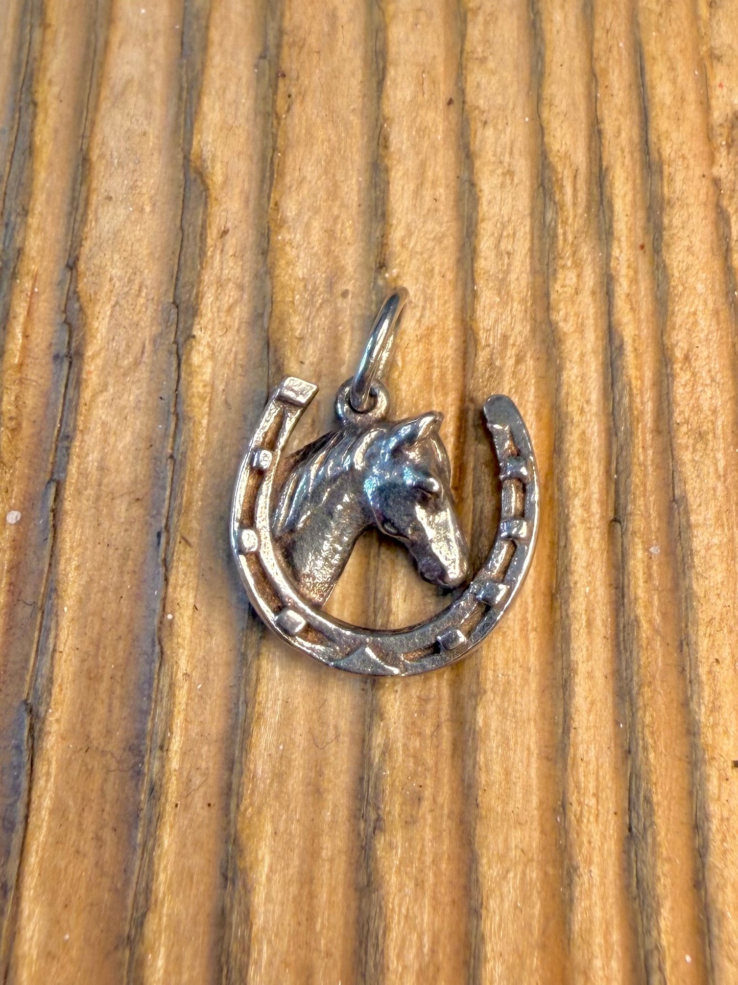 Horseshoe Head 925 Sterling Silver Pendant