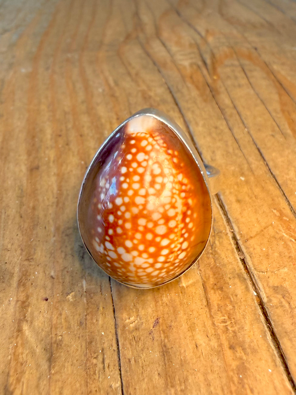 Cowrie Shell 925 Sterling Silver Size P Adjustable Ring