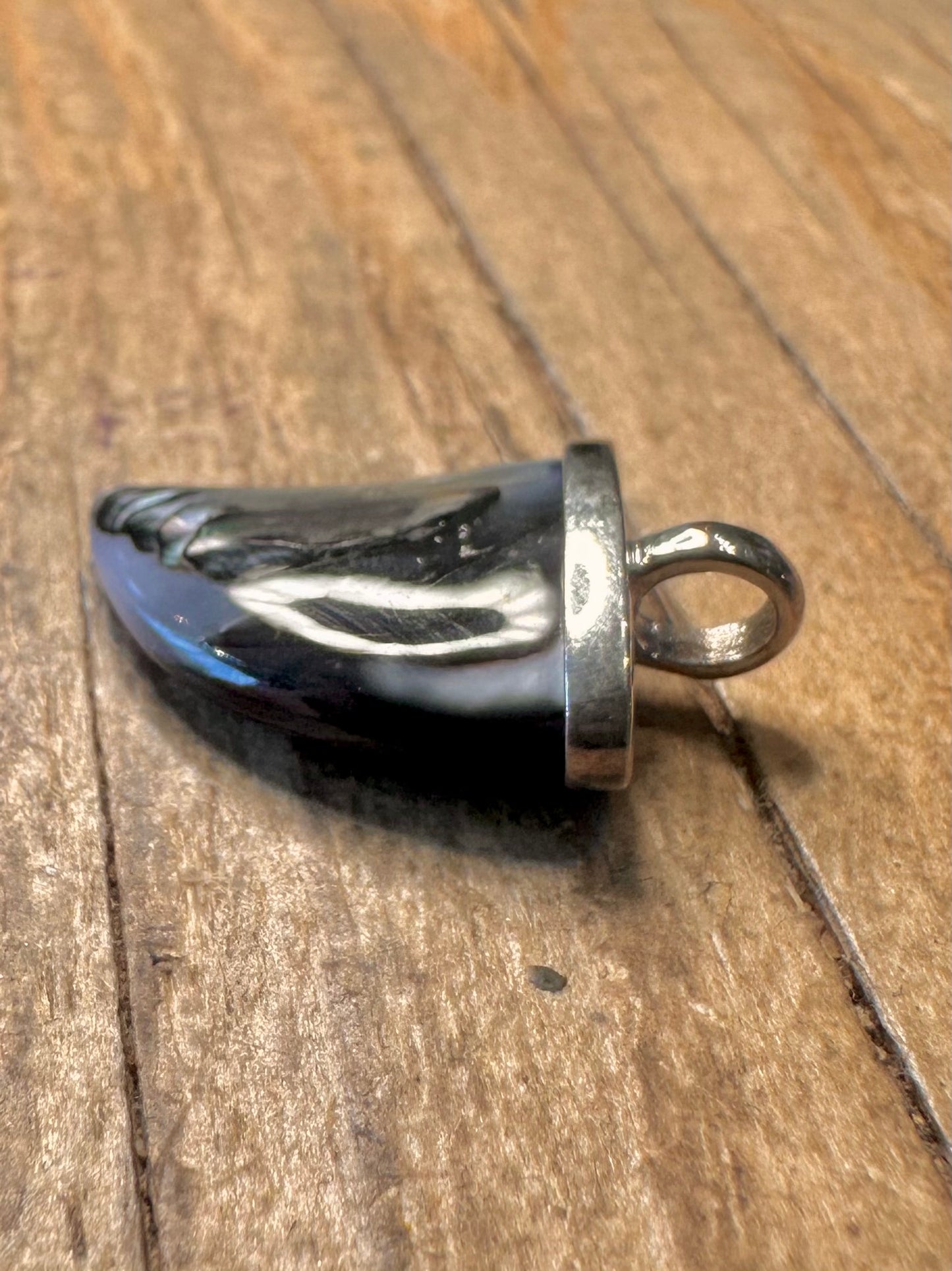 Modern Abalone Claw Shape 925 Sterling Silver Pendant