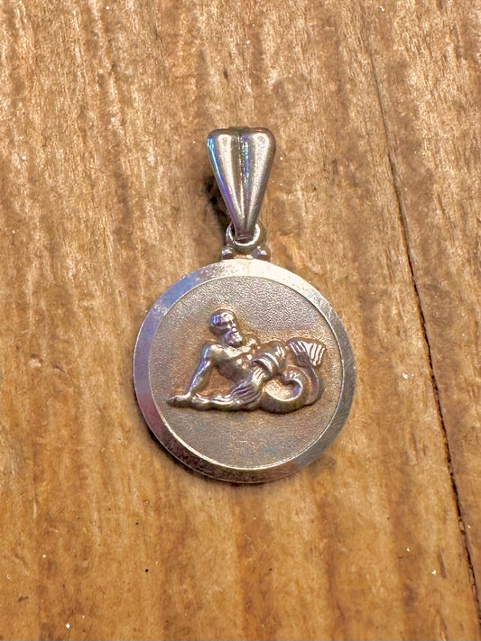 Tierkreis Wassermann 1969 Kreis 925 Sterling Silber Anhänger