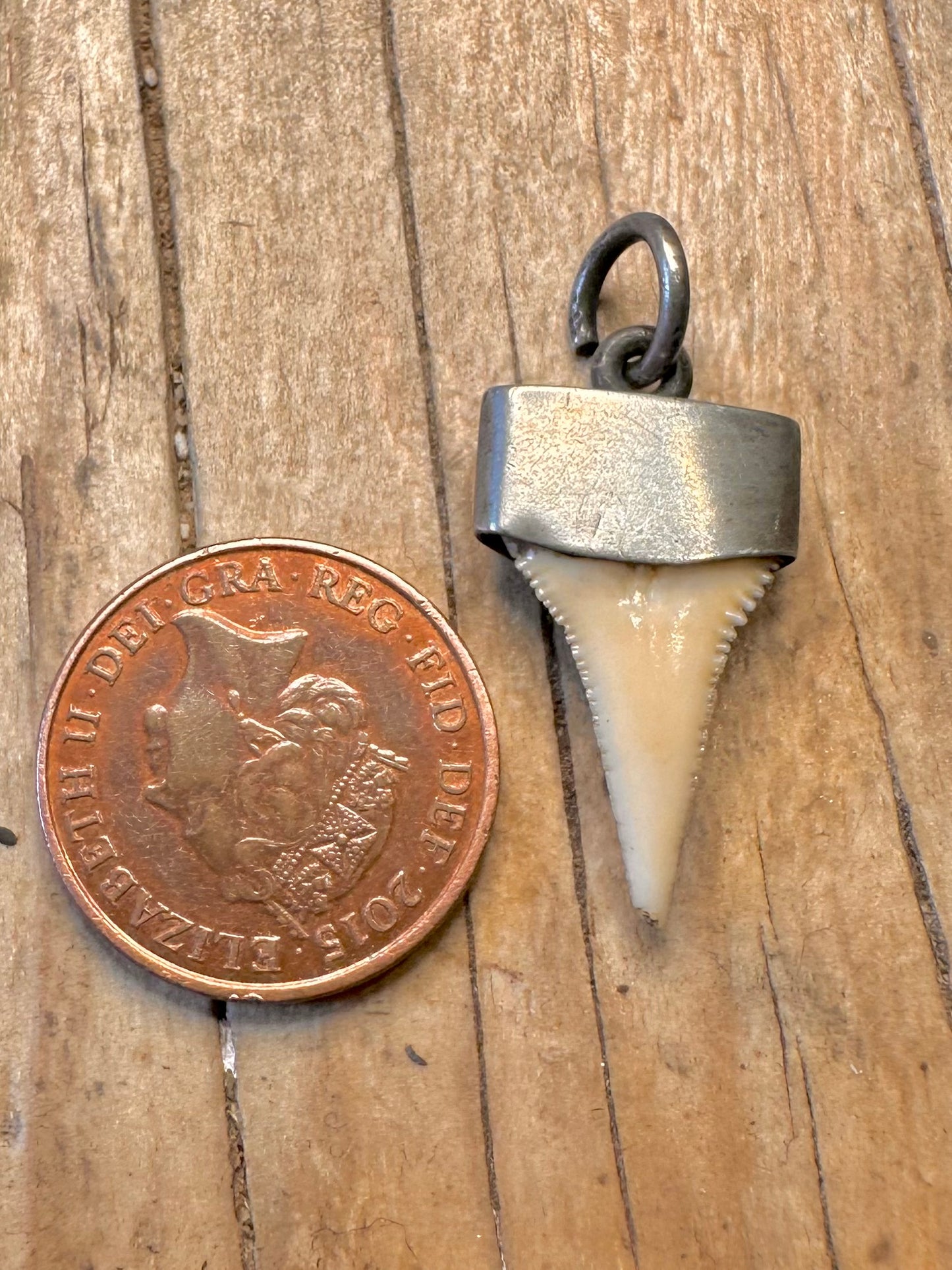 Vintage Haifischzahn-Anhänger aus Silber