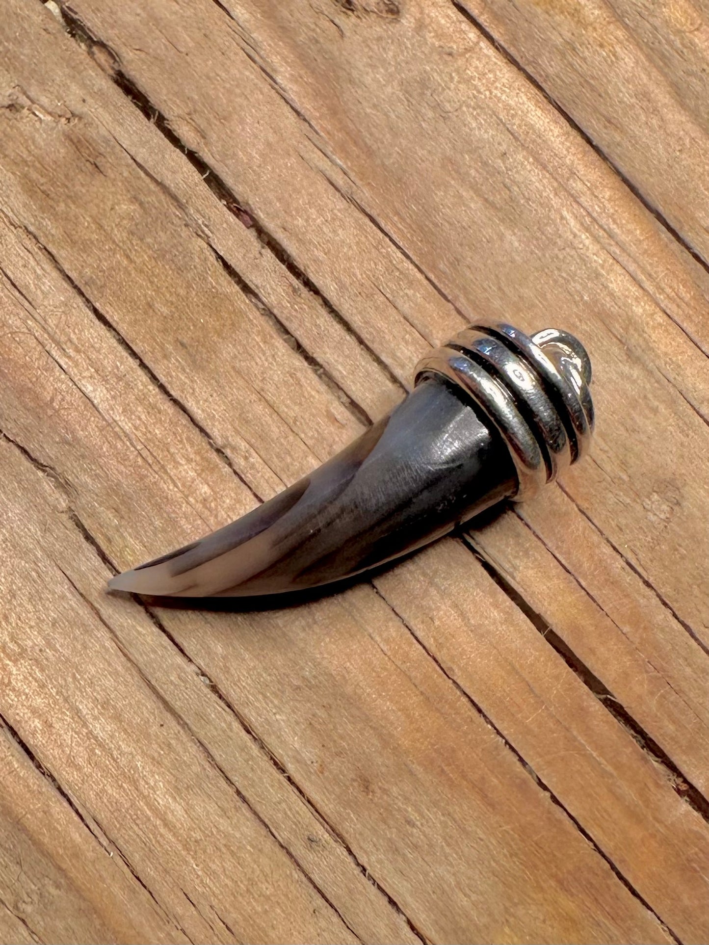 Modern Abalone Claw 925 Sterling Silver Pendant