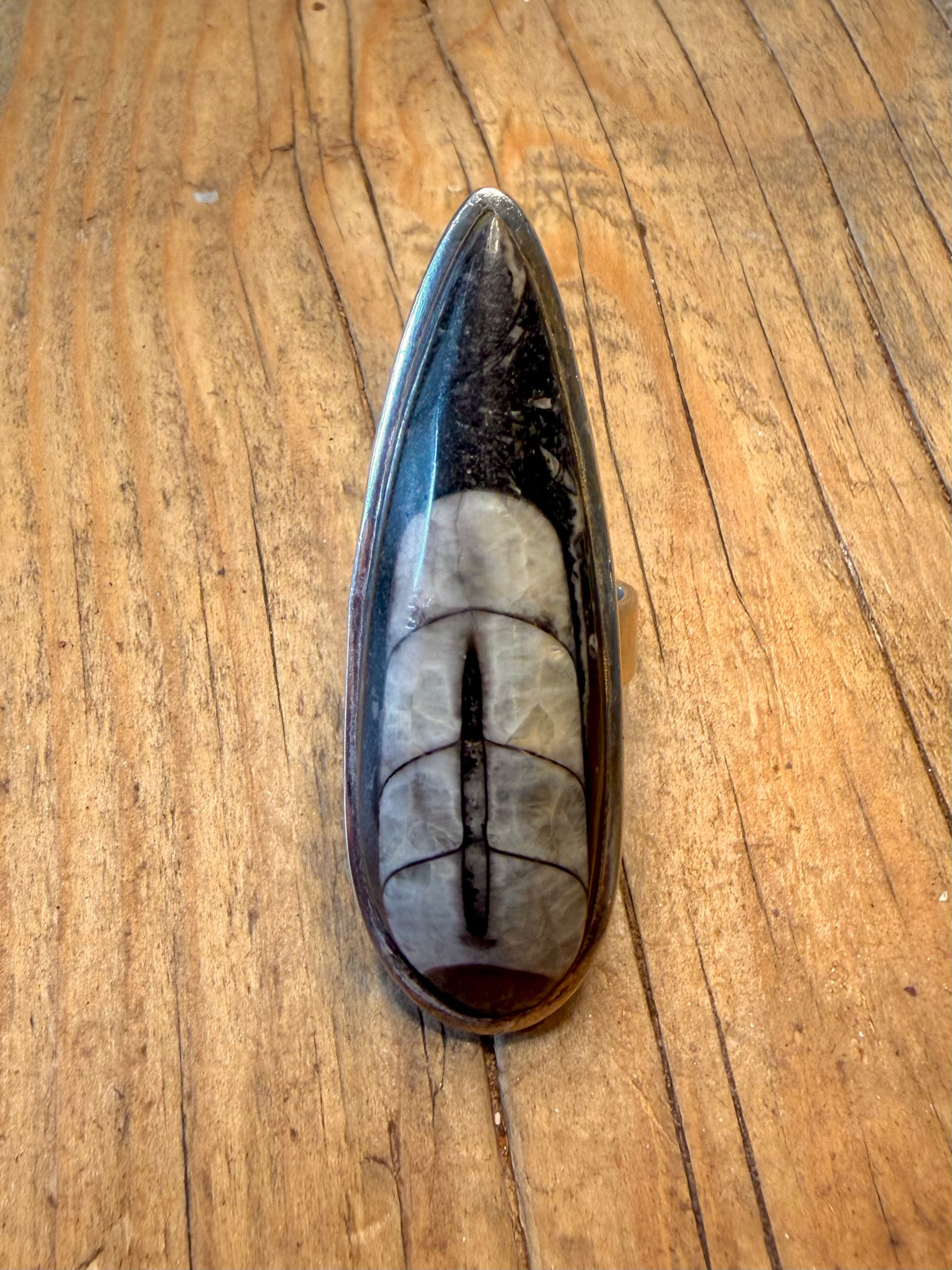 Large Orthoceras Fossil Black and White 925 Sterling Silver Size P Ring