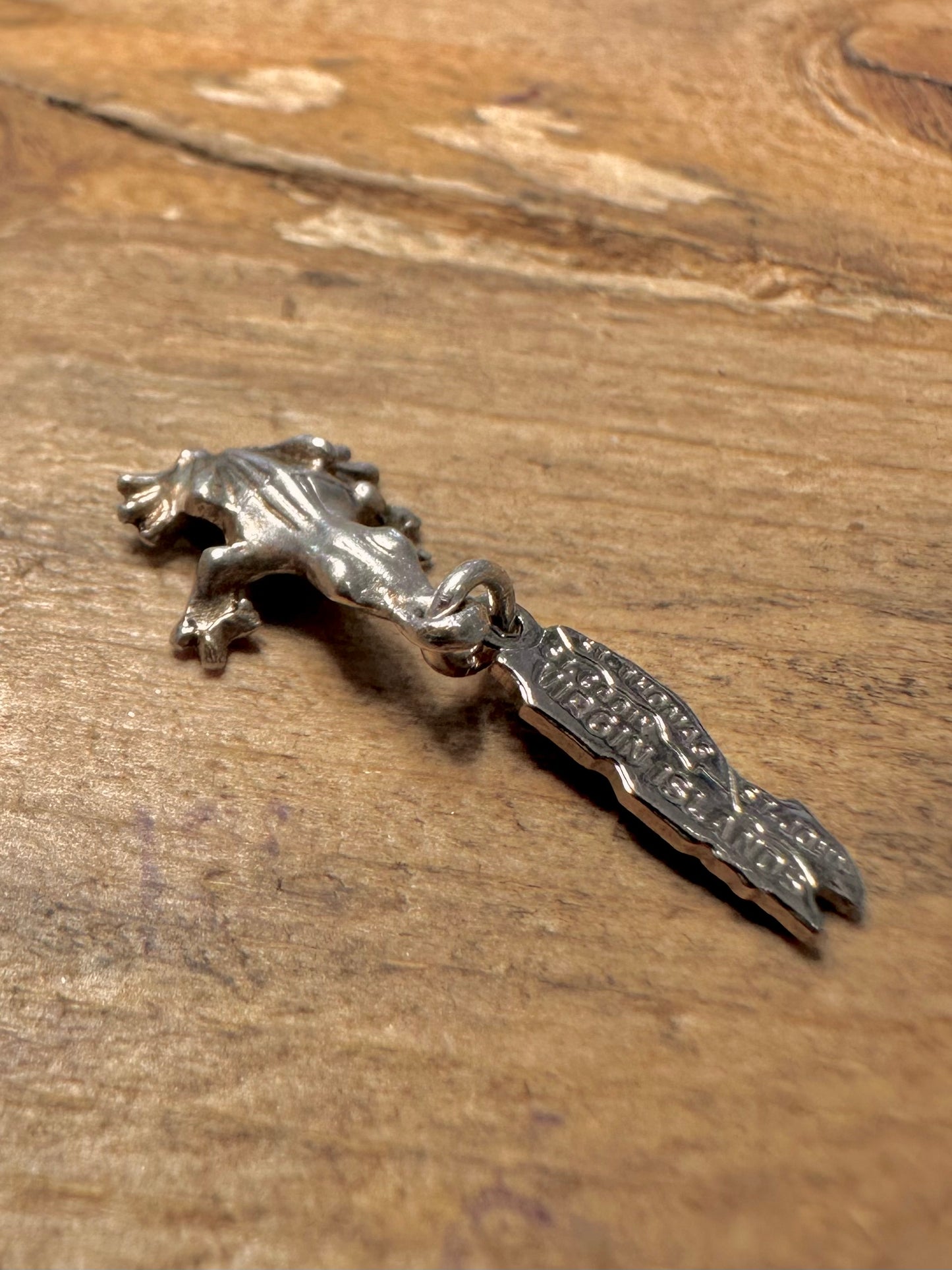 Vintage Frog and Virgin Islands 925 Silver Charm Pendant