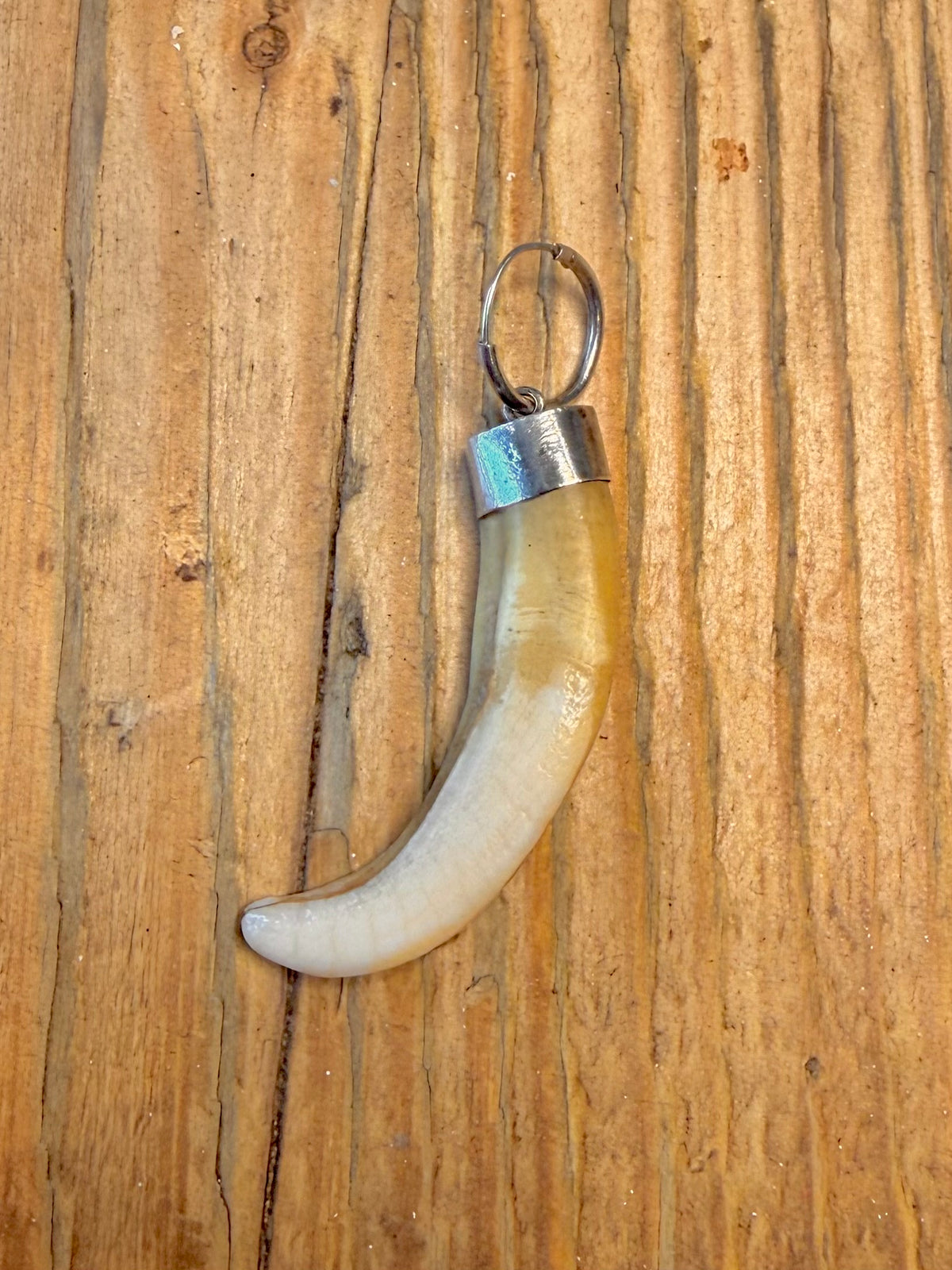 Curved Tooth Single Hoop 925 Sterling Silver Earring