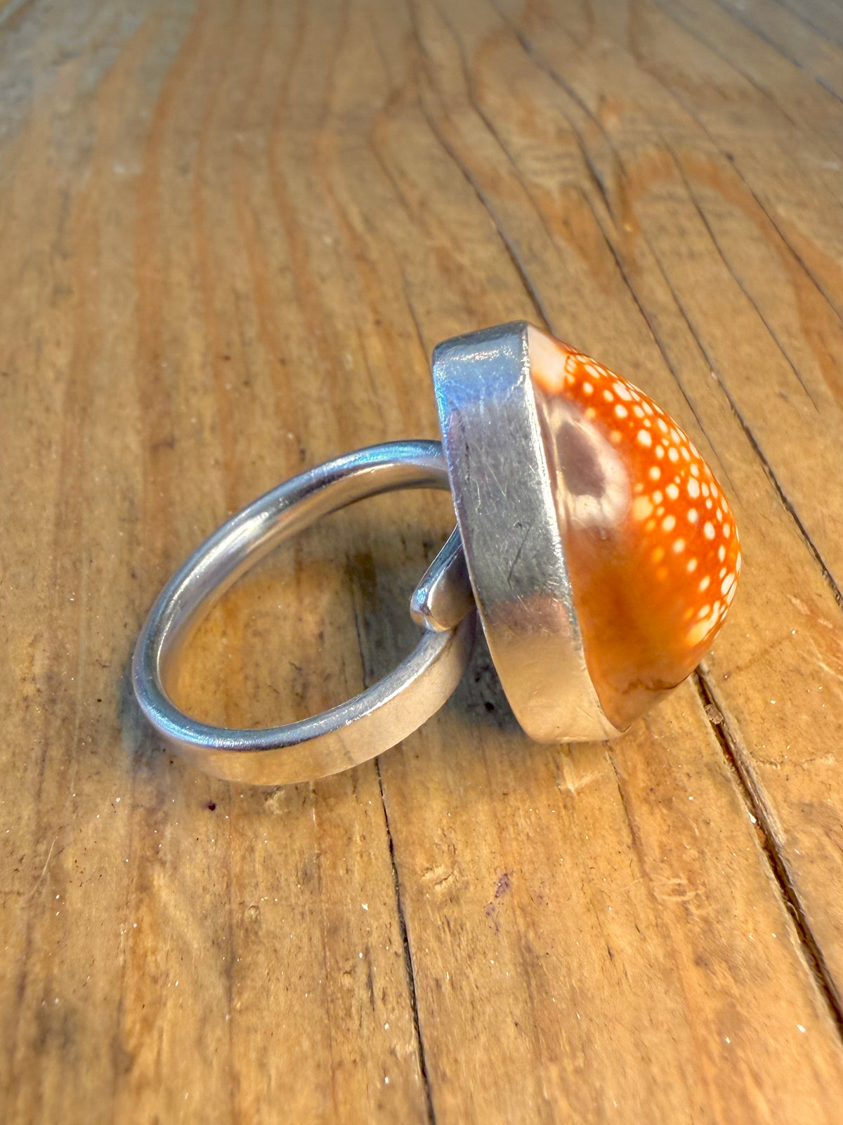 Cowrie Shell 925 Sterling Silver Size P Adjustable Ring