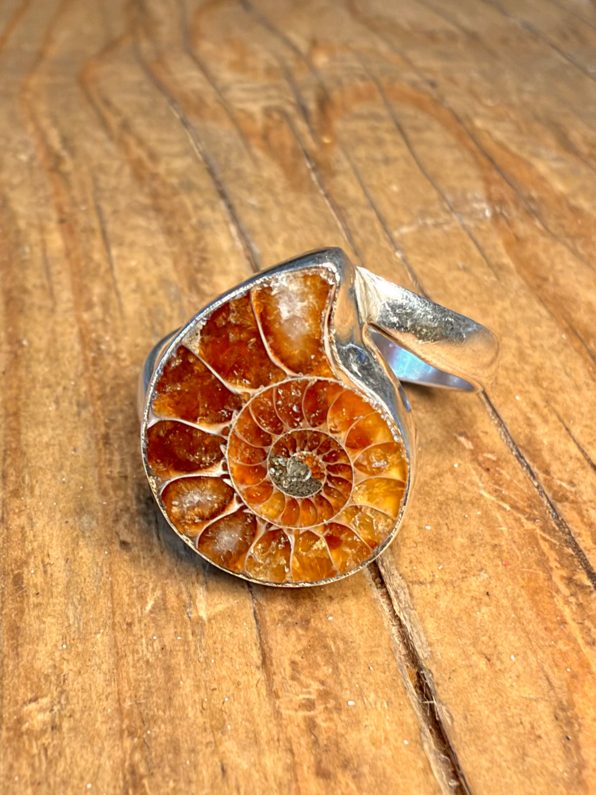 Ammonite Fossil 925 Sterling Silver Size R Ring