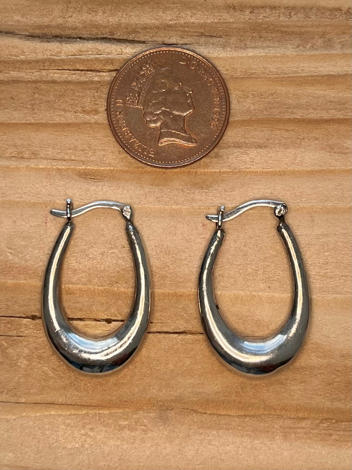 Oval Shaped Hoops 925 Sterling Silver Earrings