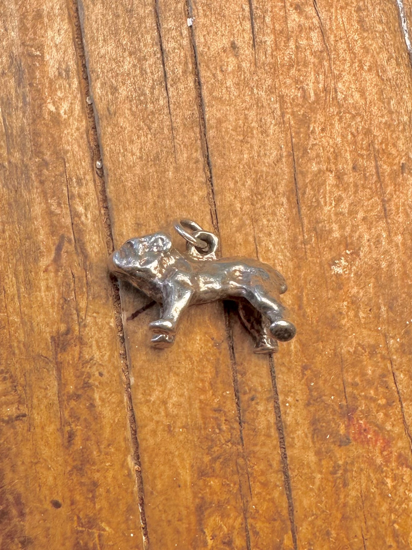 Bulldog Solid 925 Sterling Silver Charm Pendant