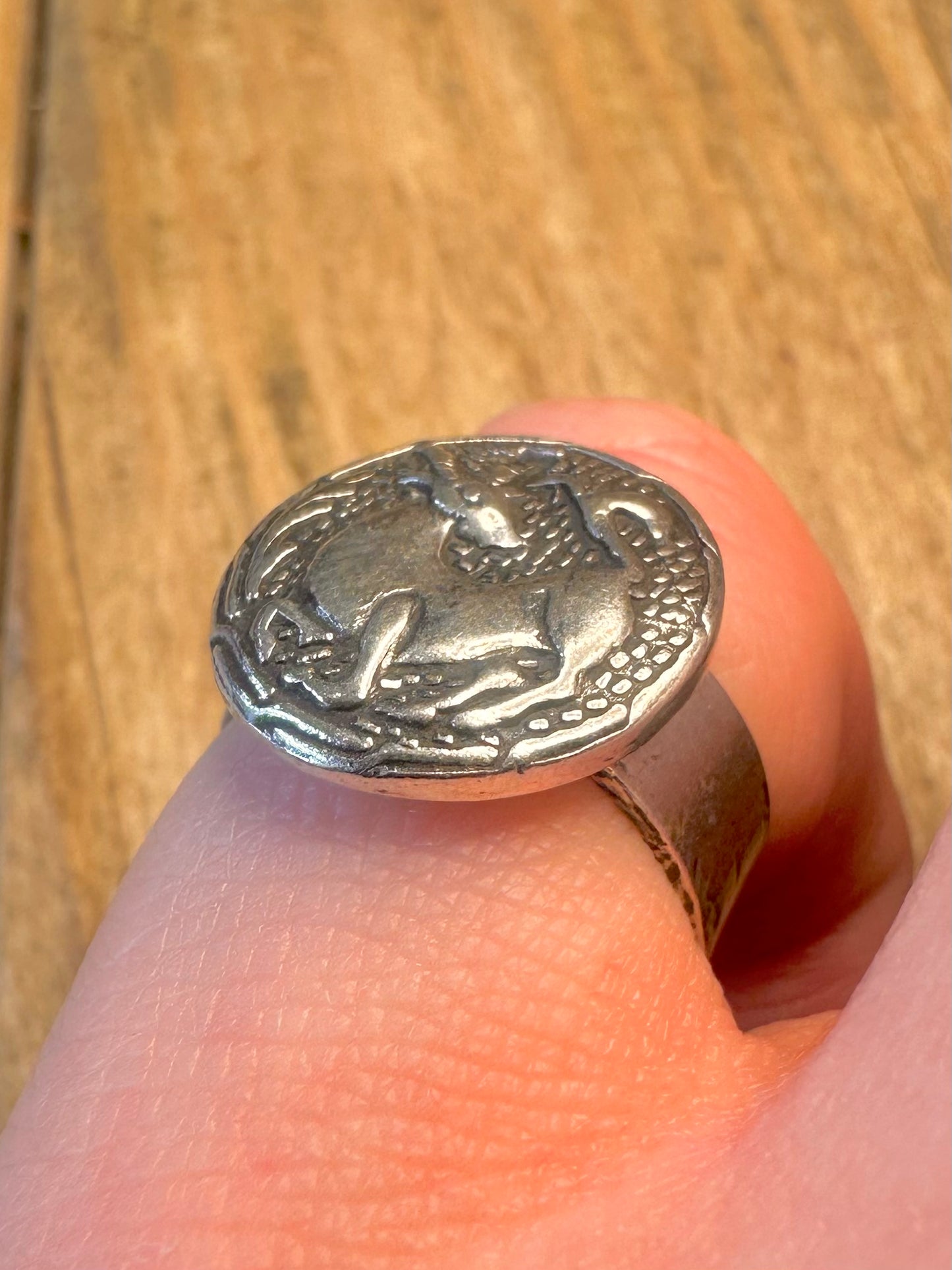 Steinbock-Kreis Ägyptische Markierungen Silber Größenverstellbarer Ring K1/2