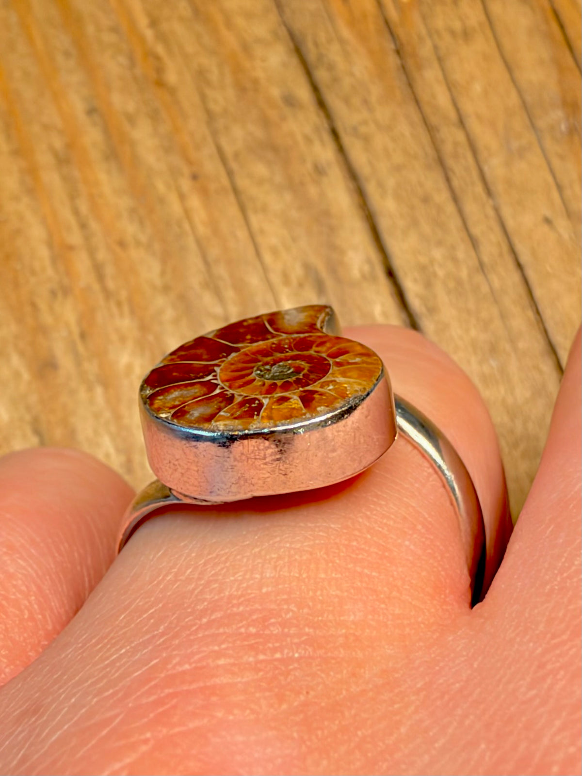 Ammonite Fossil 925 Sterling Silver Size R Ring