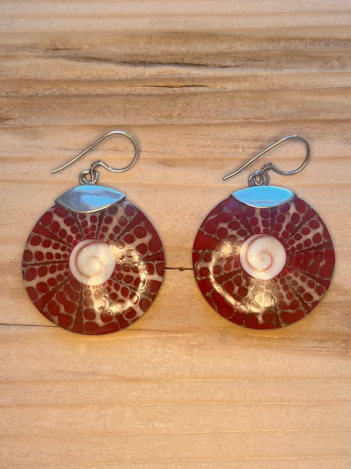 Circle Spotty Shell 925 Sterling Silver Drop Earrings