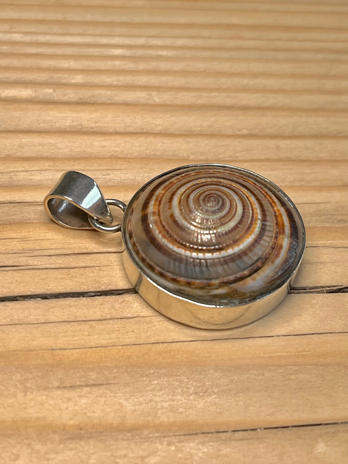 Large Spiral Sundial Shell 925 Sterling Silver Pendant