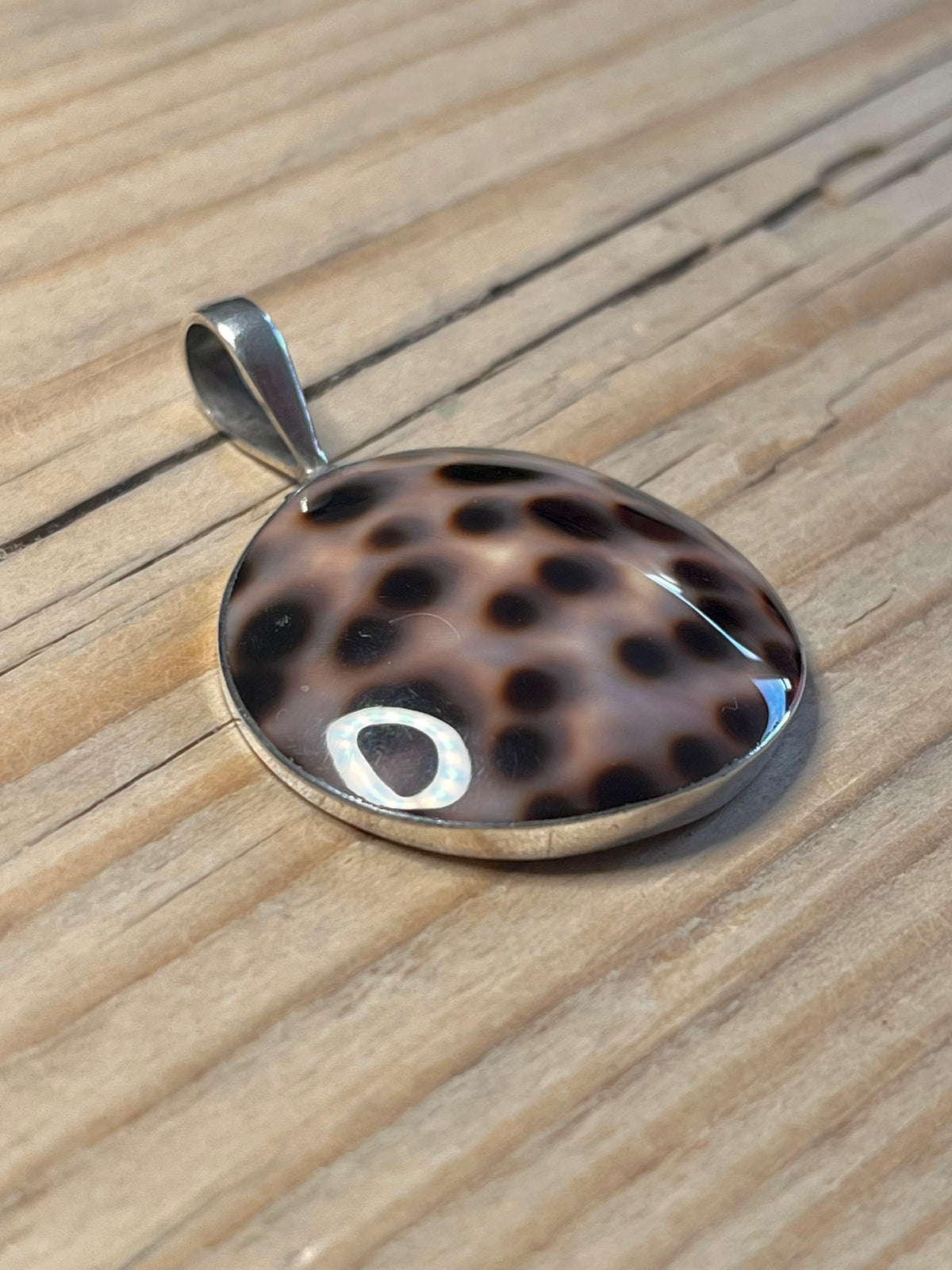 Circle Cowrie Shell 925 Sterling Silver Pendant