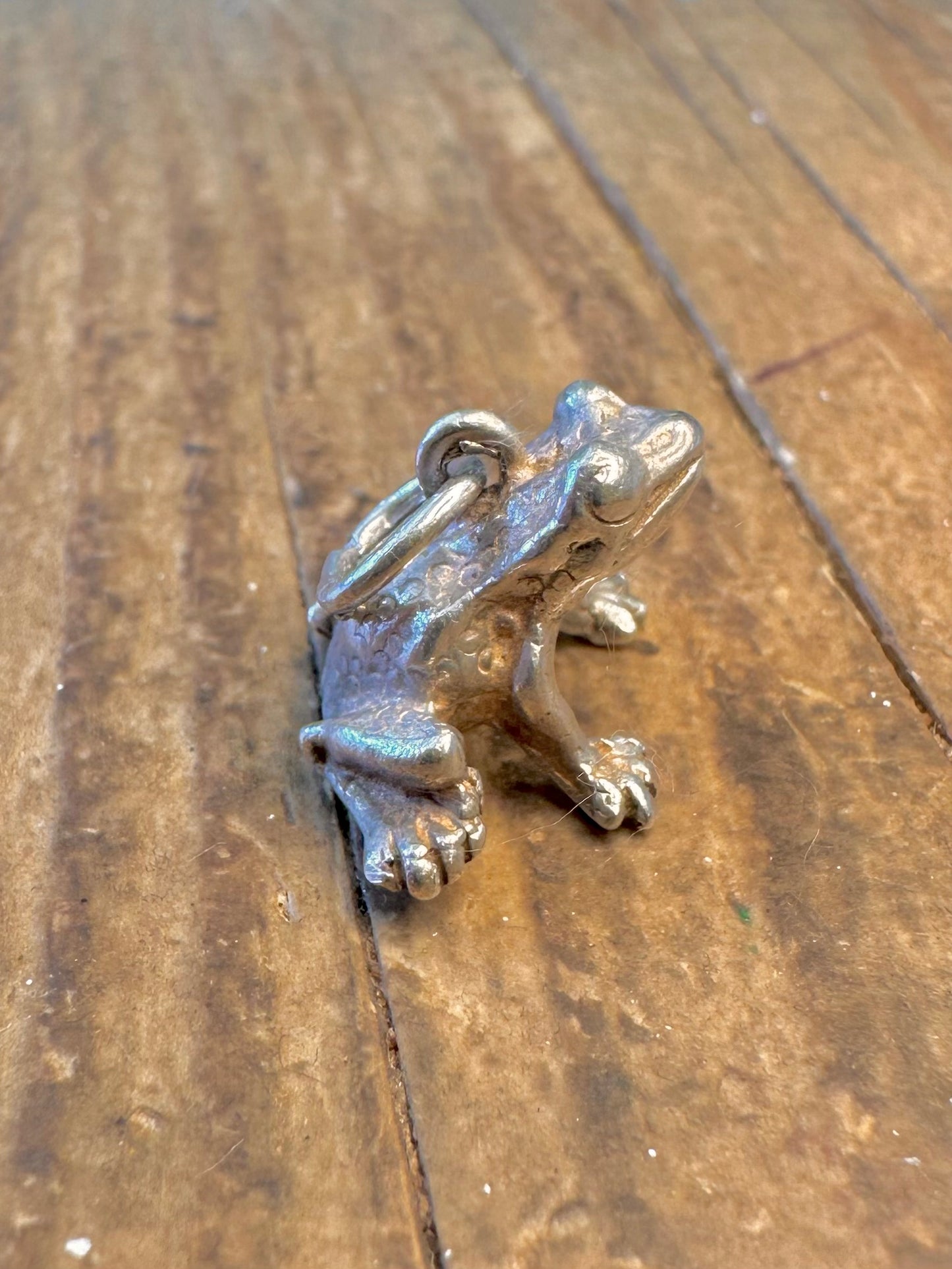 Frog Realistic 925 Sterling Silver Charm Pendant