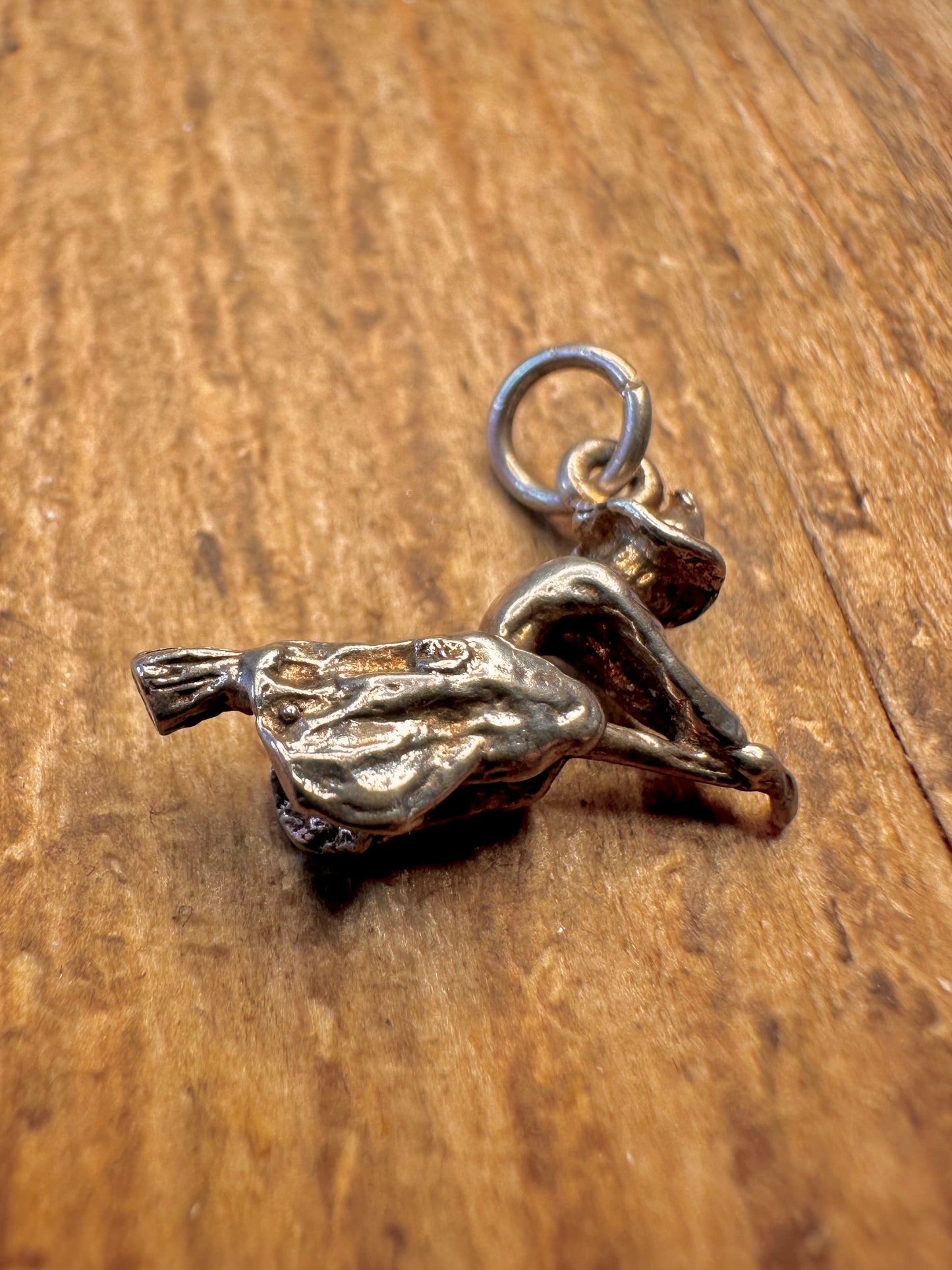 Witch Flying Broom 925 Sterling Silver Charm Pendant