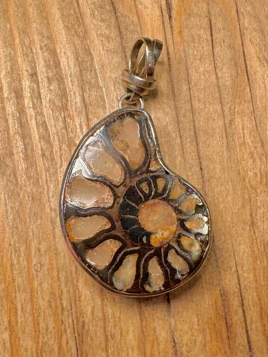 Vintage Ammonite Fossil 925 Sterling Silver Pendant